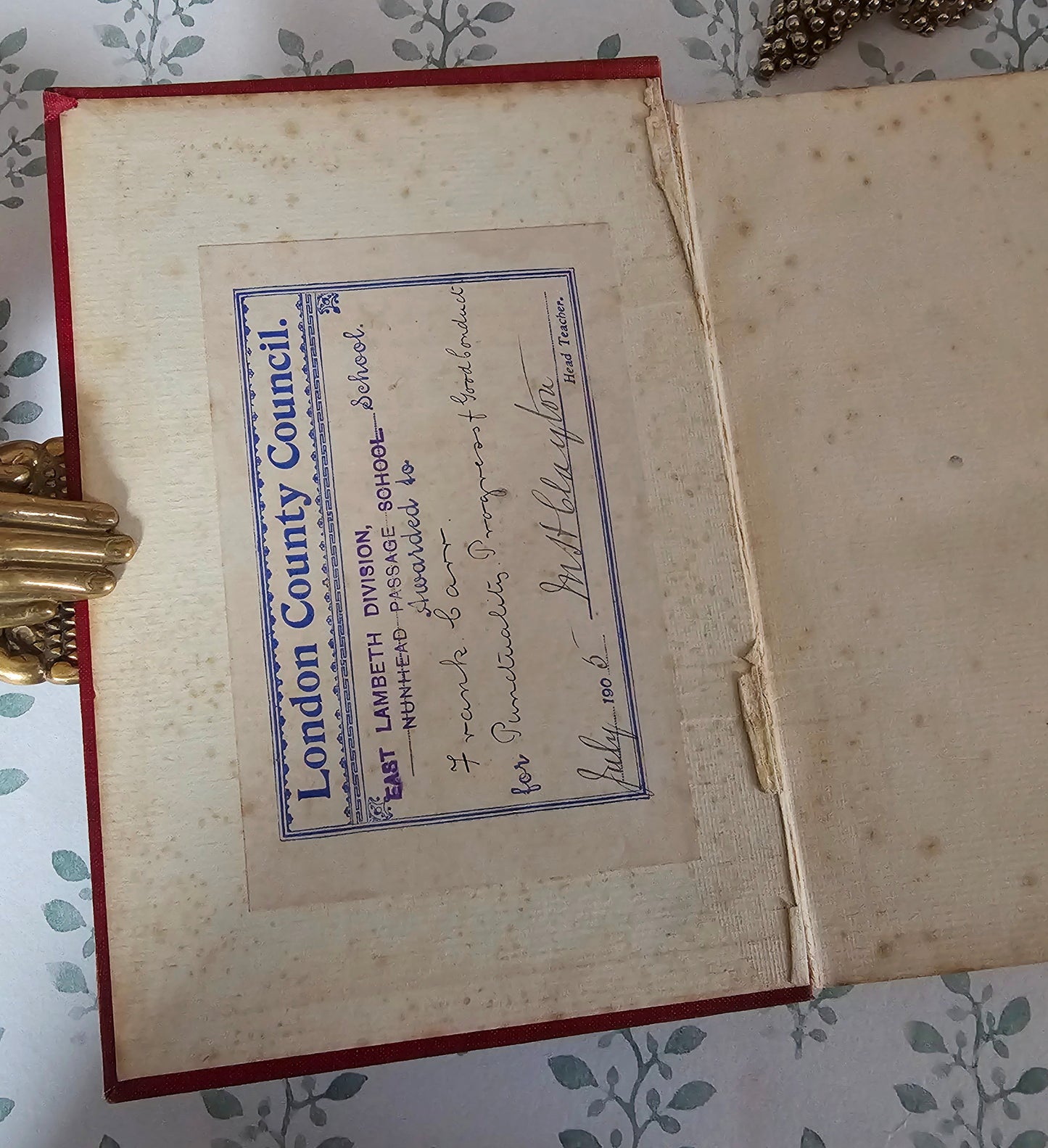 1904 The Boy's Own Book of Natural History - Illustrated Antique Book - Floral Spine