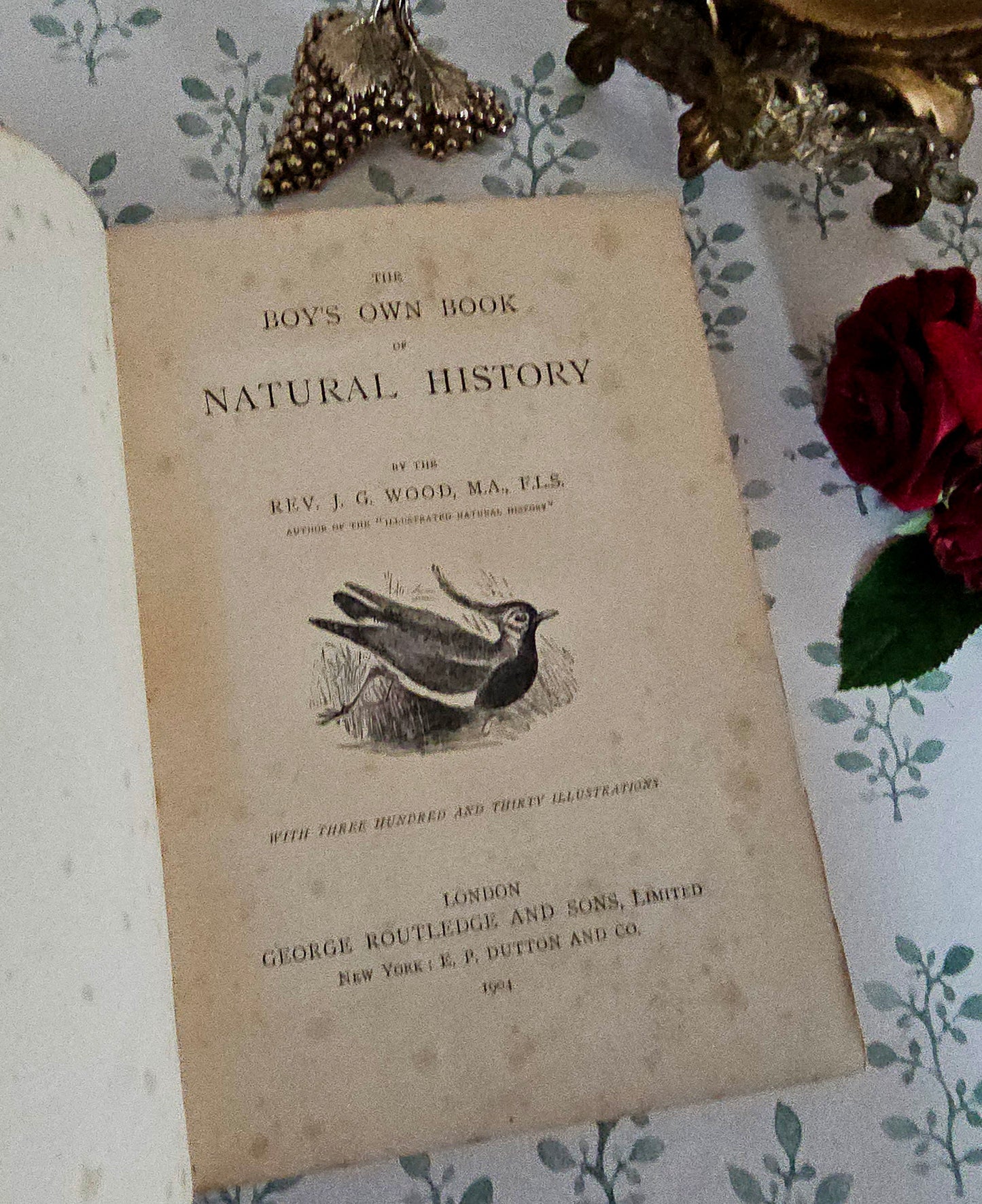1904 The Boy's Own Book of Natural History - Illustrated Antique Book - Floral Spine