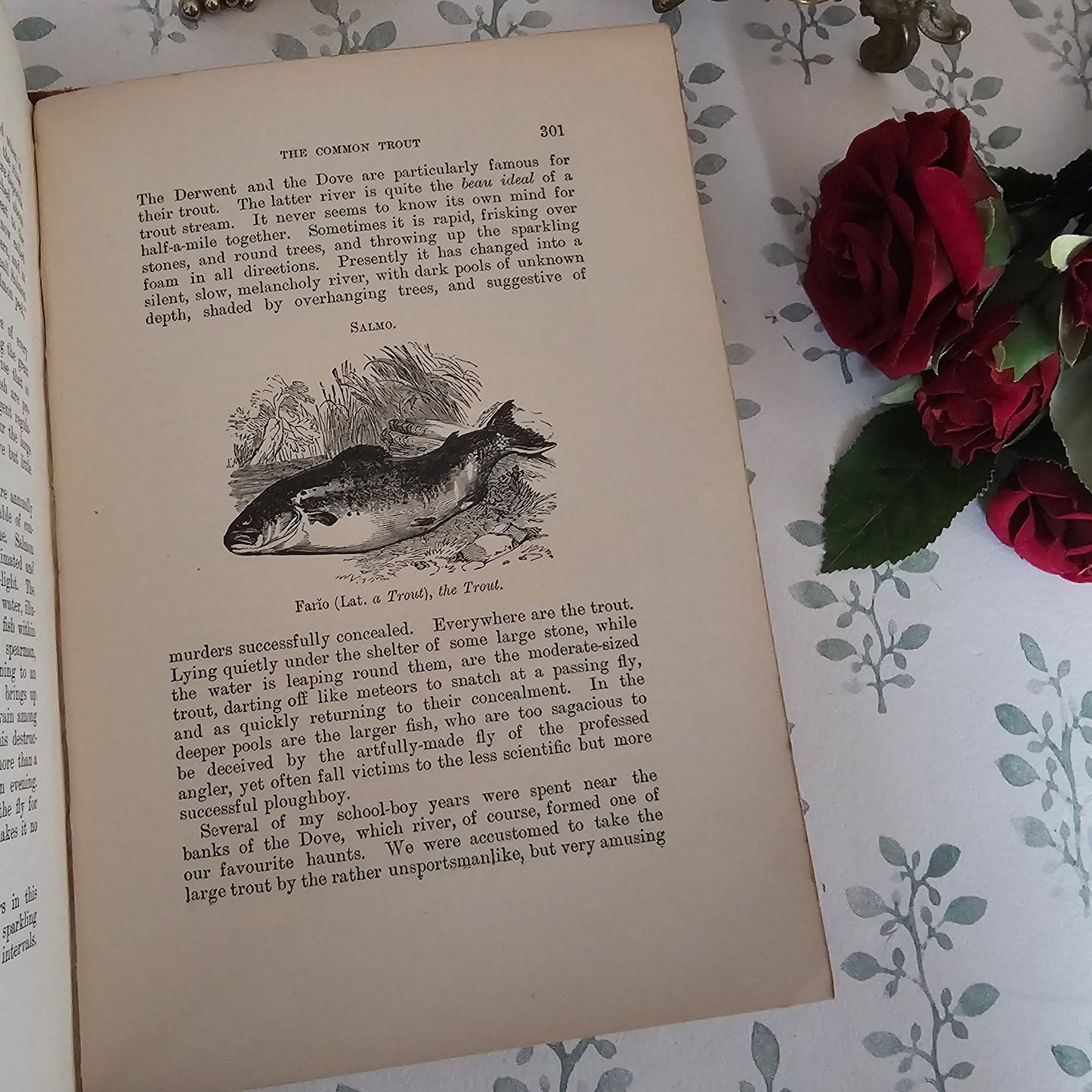 1904 The Boy's Own Book of Natural History - Illustrated Antique Book - Floral Spine