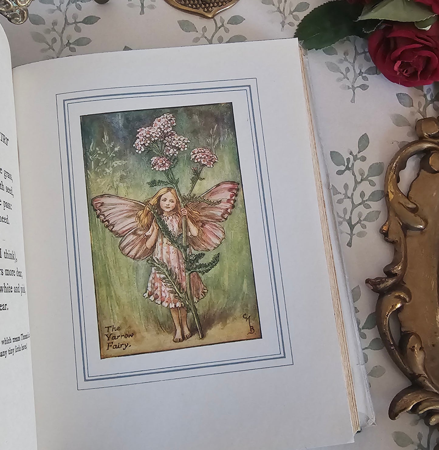 1950 The Book of the Flower Fairies by Cicely Mary Barker - Scarce in Dust Jacket