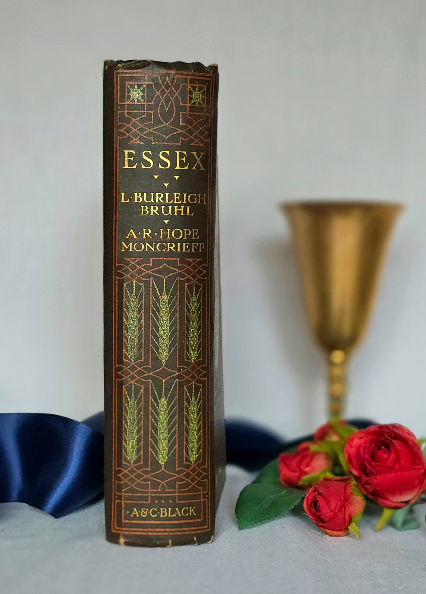 1909 Antique Essex Book: 75 Colour Plates, Decorative Binding