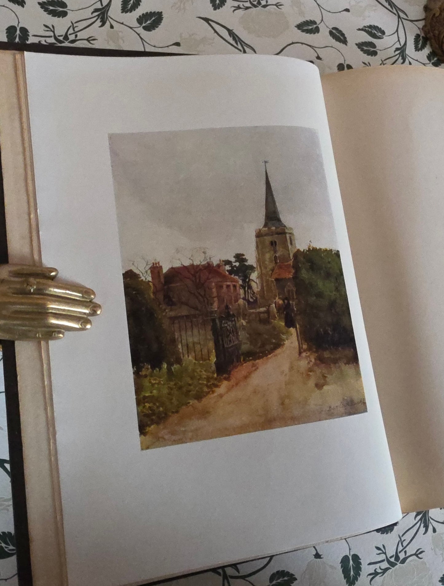 1909 Antique Essex Book: 75 Colour Plates, Decorative Binding