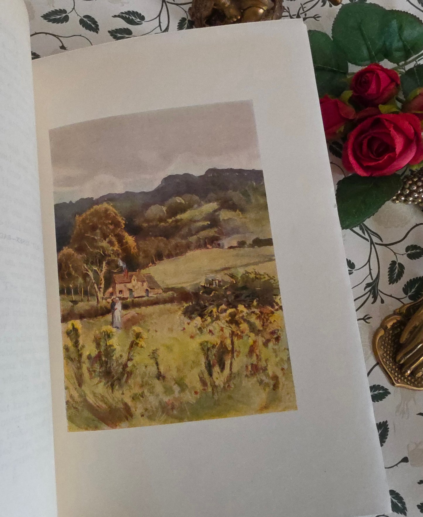 1909 Antique Essex Book: 75 Colour Plates, Decorative Binding