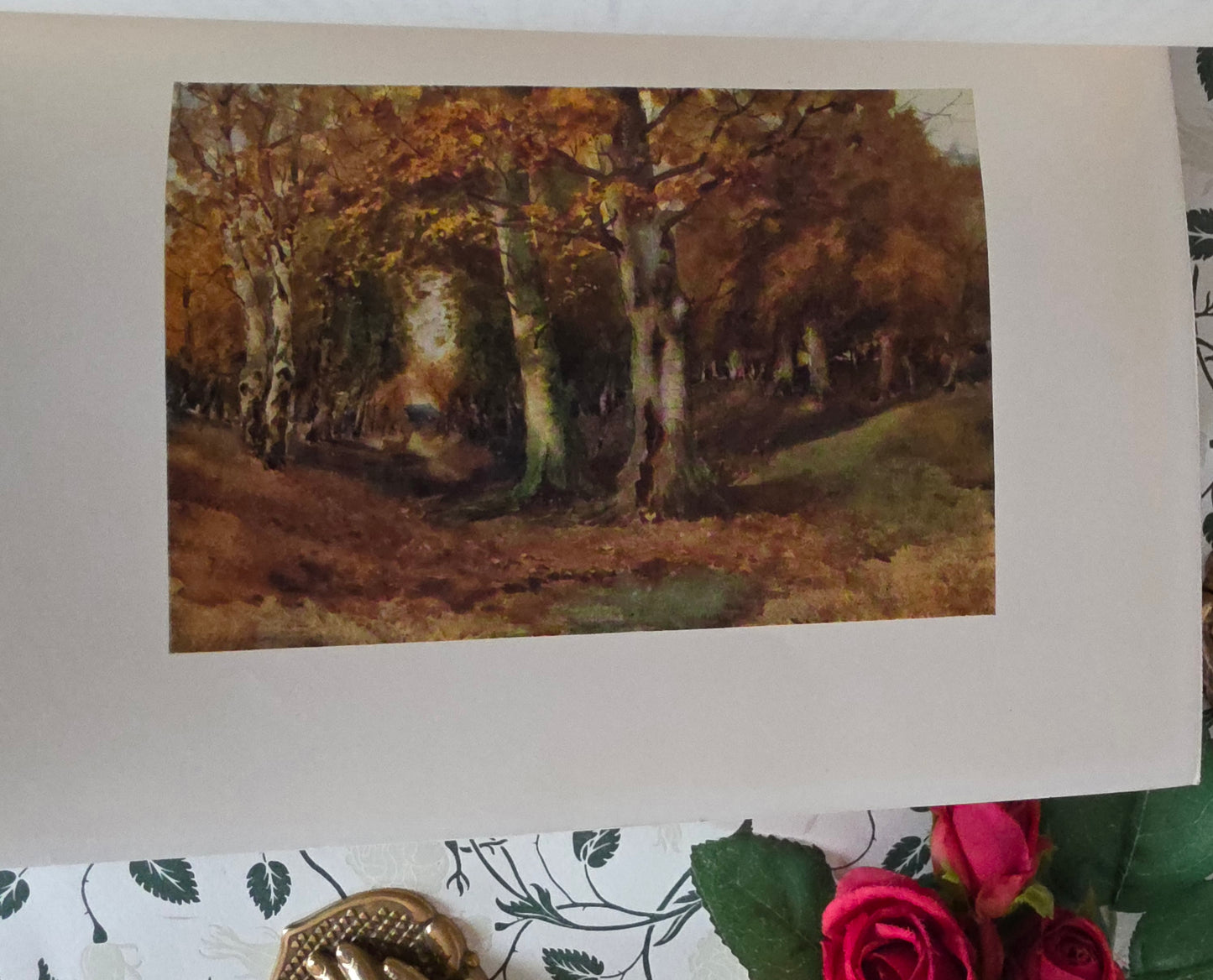 1909 Antique Essex Book: 75 Colour Plates, Decorative Binding