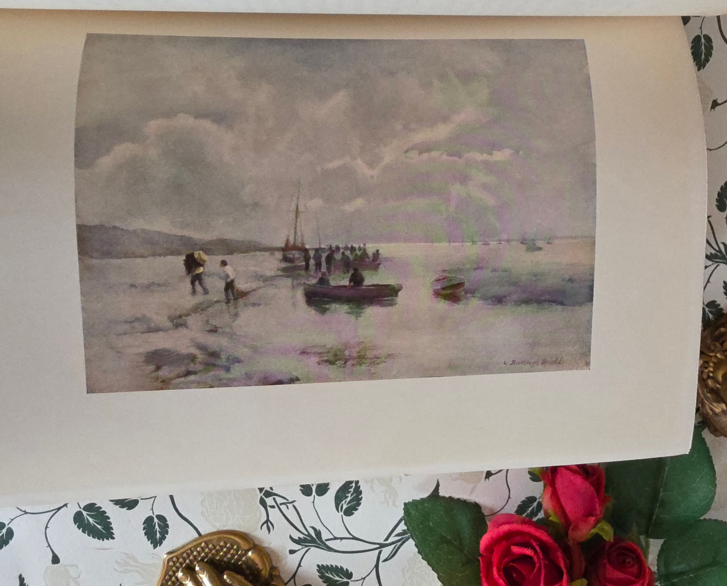 1909 Antique Essex Book: 75 Colour Plates, Decorative Binding