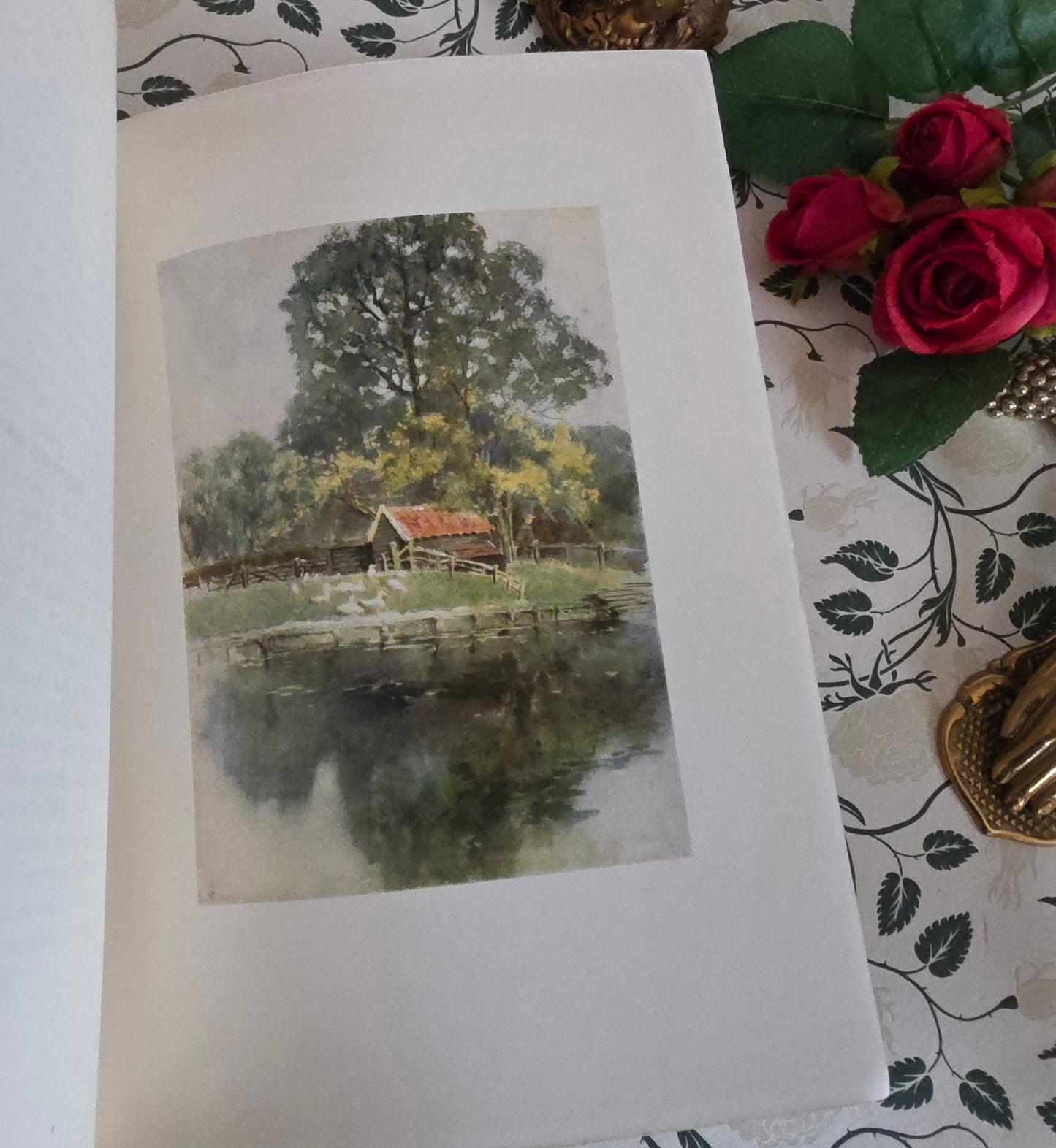 1909 Antique Essex Book: 75 Colour Plates, Decorative Binding