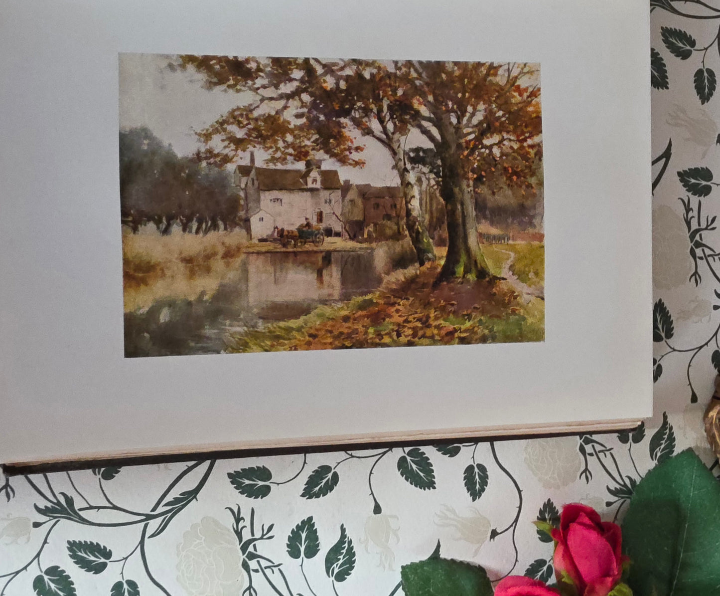 1909 Antique Essex Book: 75 Colour Plates, Decorative Binding