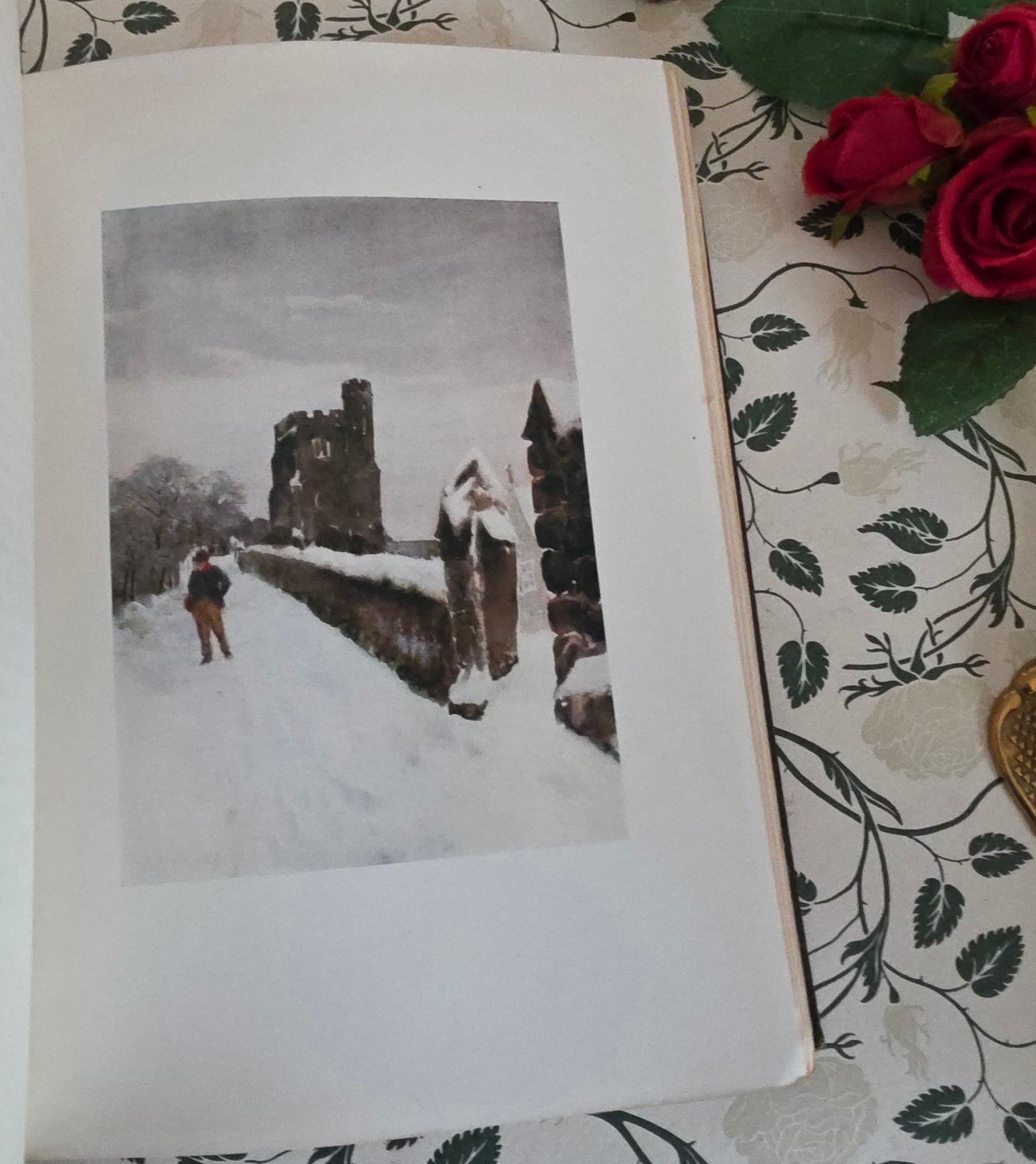 1909 Antique Essex Book: 75 Colour Plates, Decorative Binding