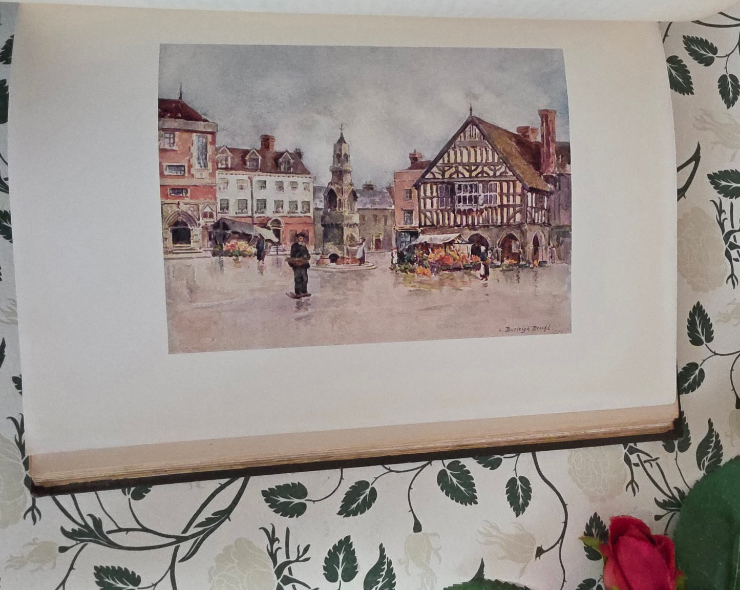 1909 Antique Essex Book: 75 Colour Plates, Decorative Binding