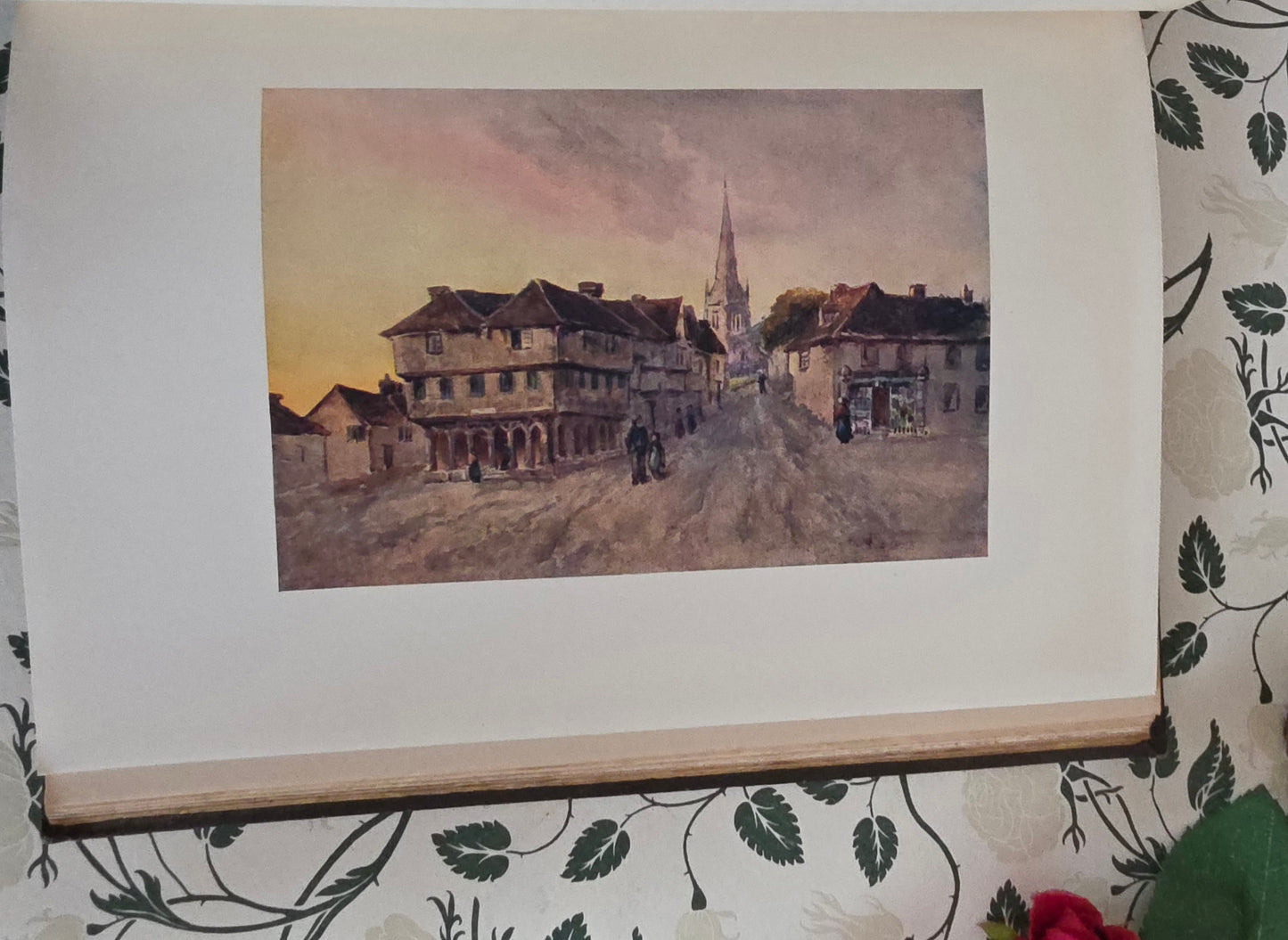 1909 Antique Essex Book: 75 Colour Plates, Decorative Binding