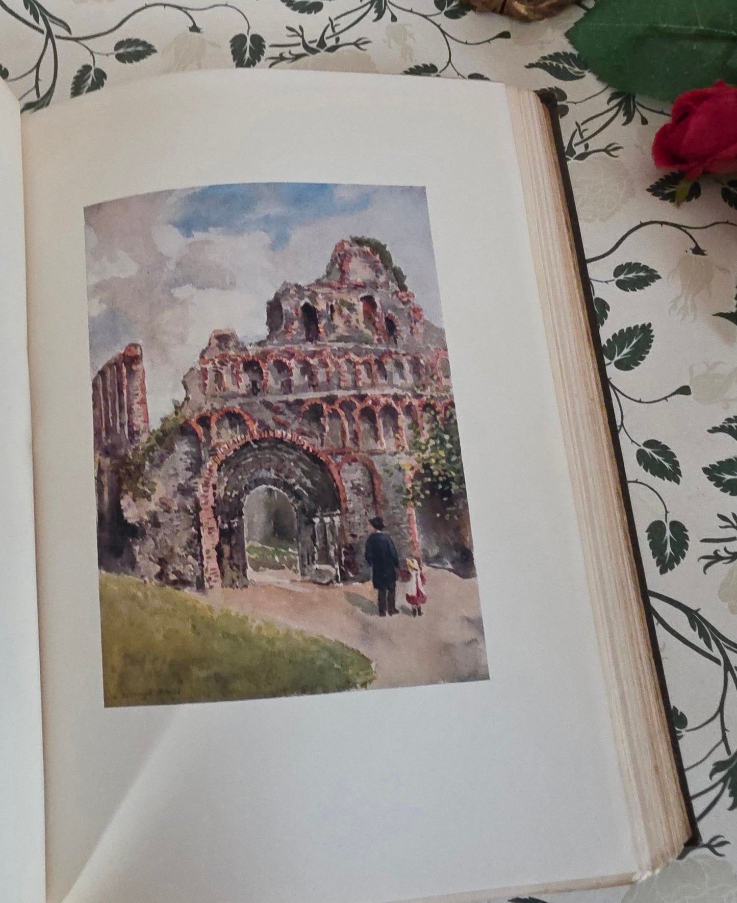 1909 Antique Essex Book: 75 Colour Plates, Decorative Binding