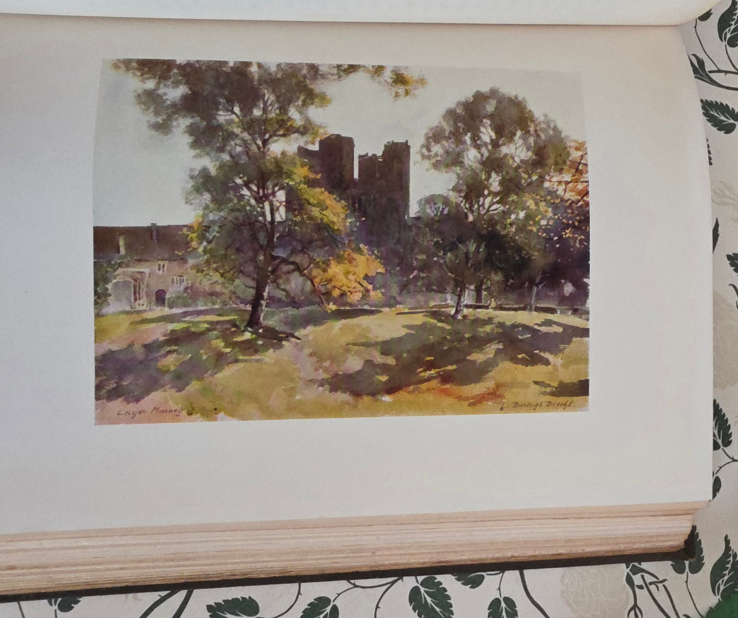 1909 Antique Essex Book: 75 Colour Plates, Decorative Binding