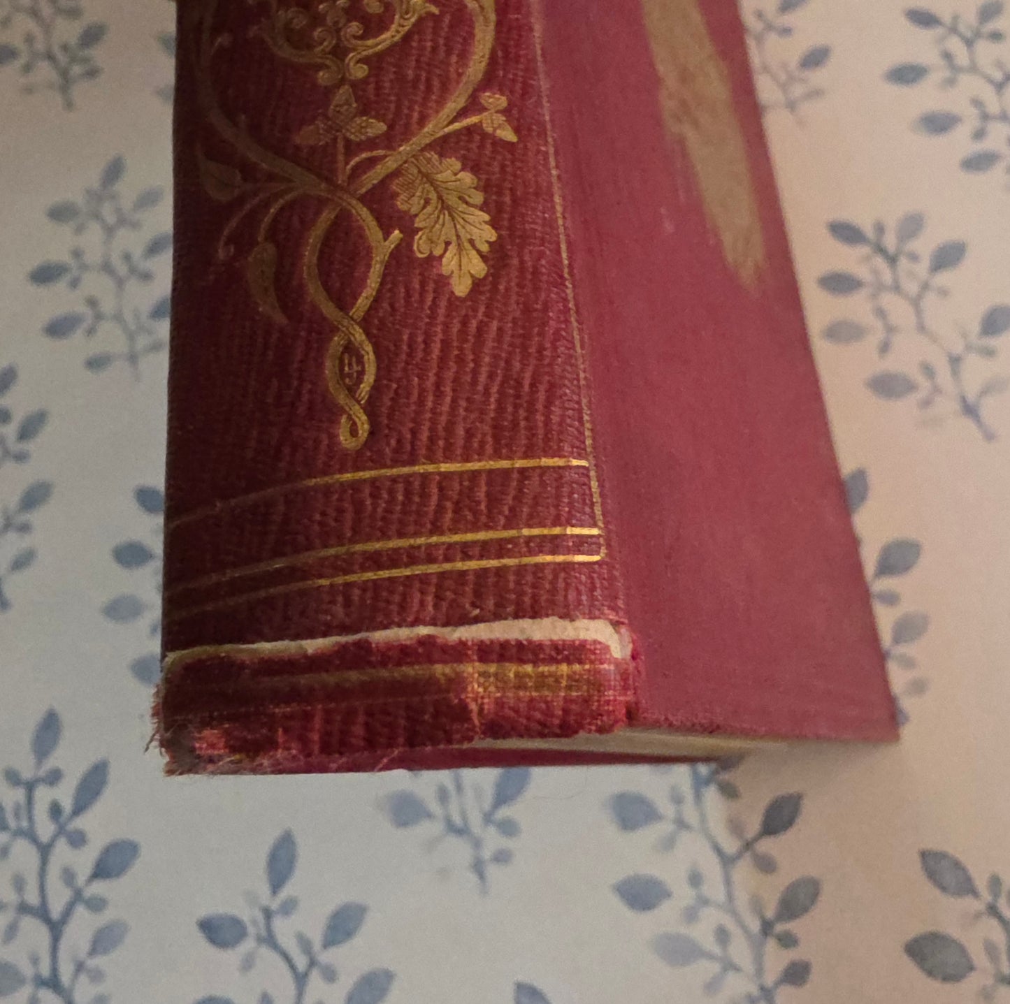 1857 Lives of Illustrious Women of England : Super Engraved Portraits