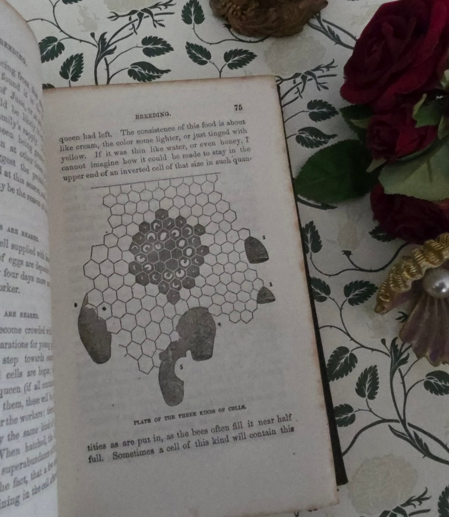 1864 Mysteries of Bee-Keeping Explained - Extremely Rare Antique Book