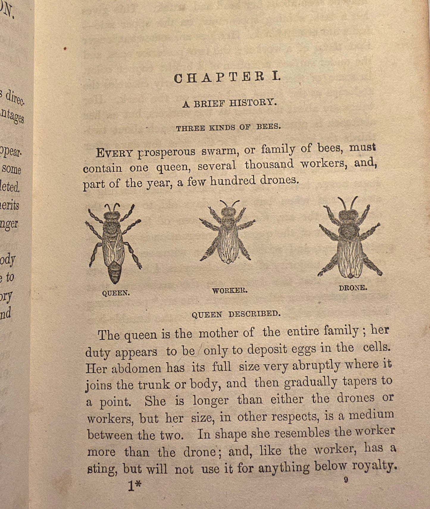 1864 Mysteries of Bee-Keeping Explained - Extremely Rare Antique Book