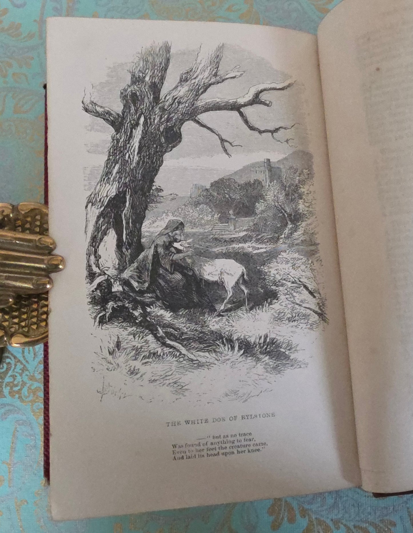 1859 The Poetical Works of William Wordsworth : Antique Illustrated Book
