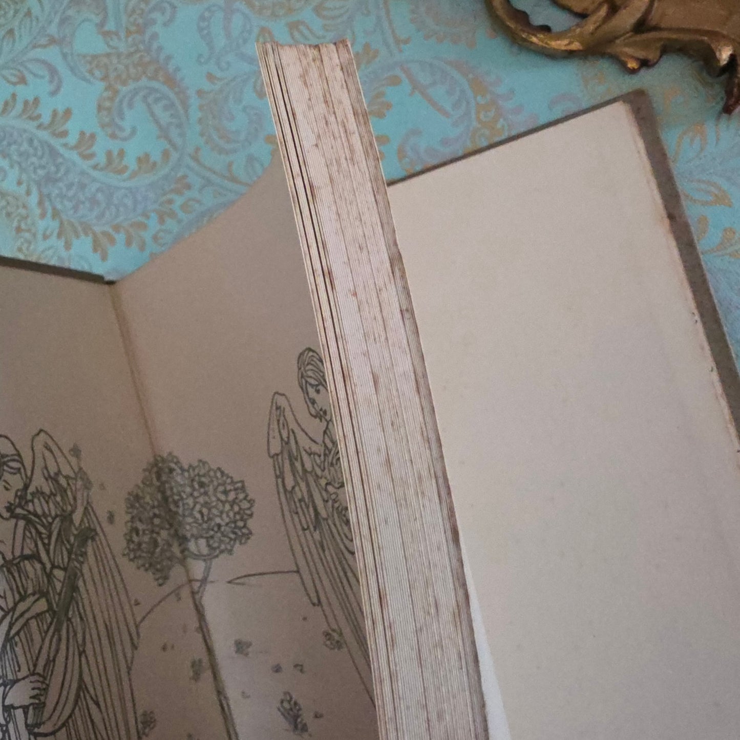 c1930 Goblin Market by Christina Rossetti : Illustrated by Florence Harrison