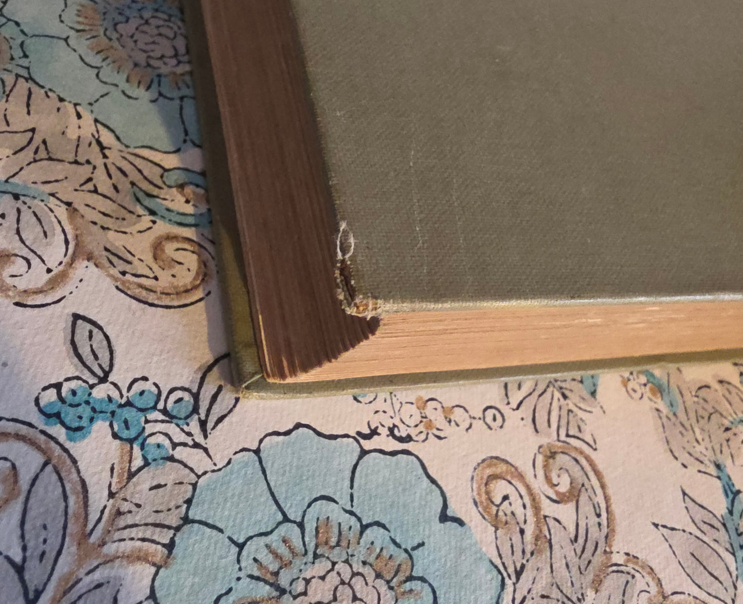 1910 Pilgrim's Progress by John Bunyan : Richly Illustrated by Frank Papé