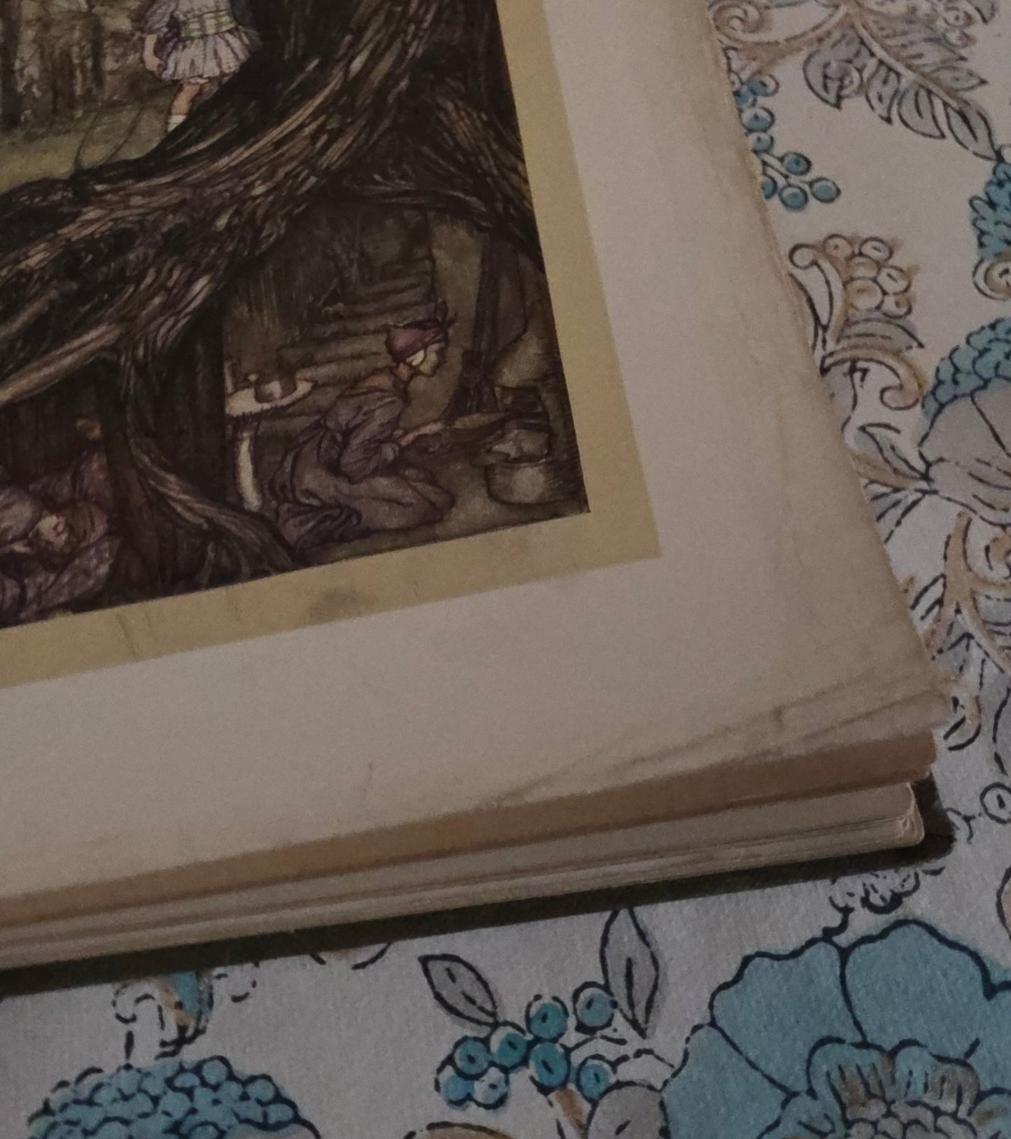 1920s Peter Pan in Kensington Gardens by JM Barrie : 24 Rackham Plates