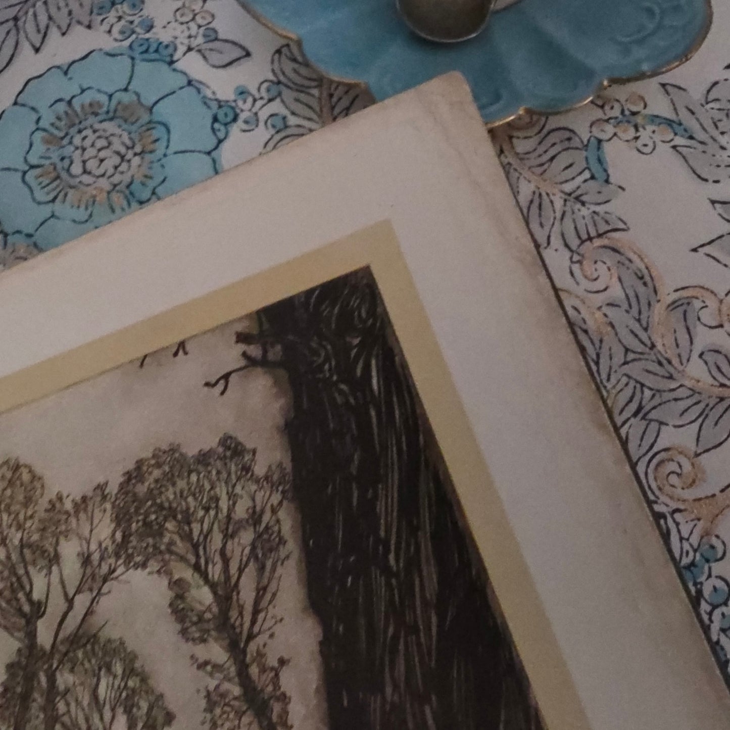 1920s Peter Pan in Kensington Gardens by JM Barrie : 24 Rackham Plates