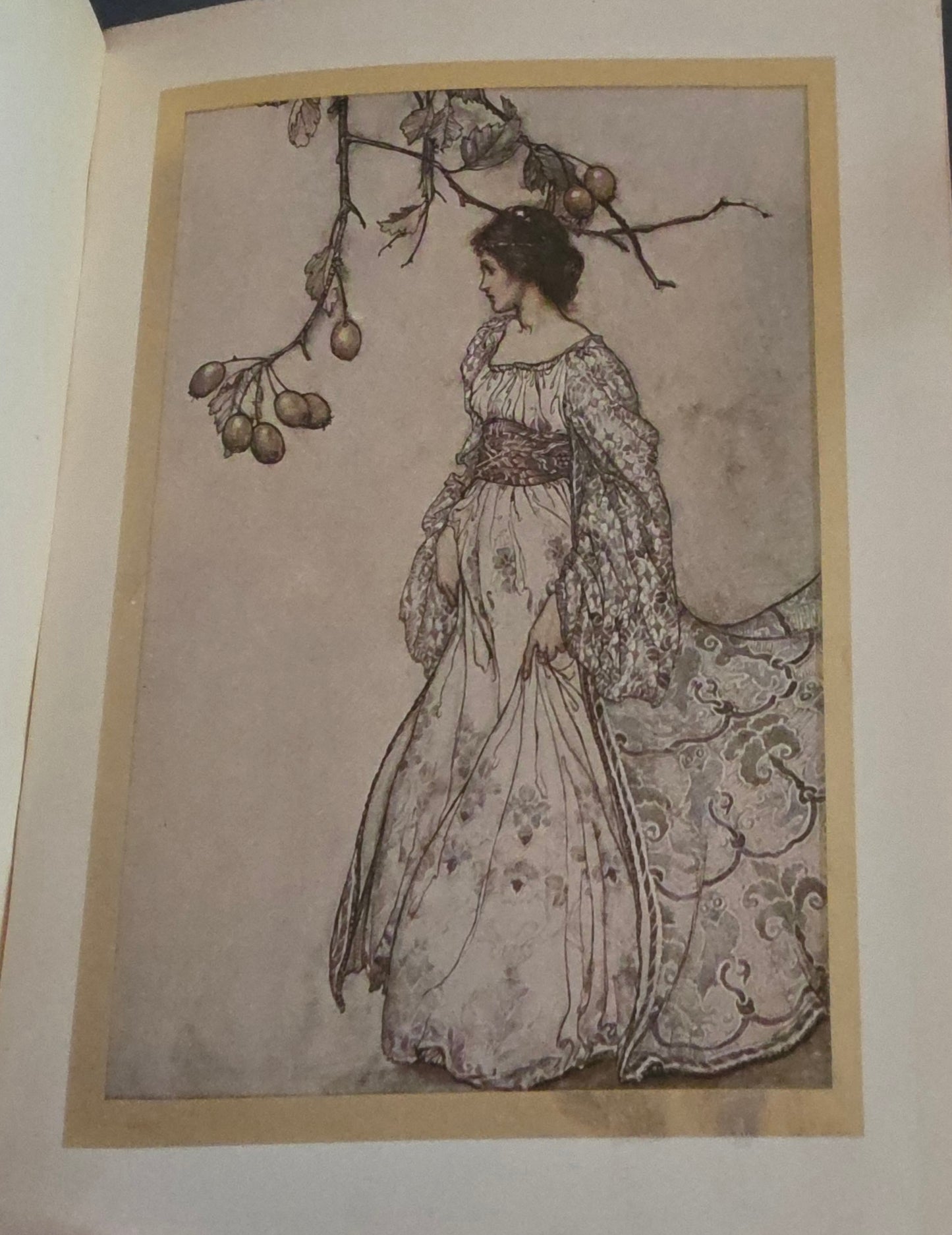 1920s Peter Pan in Kensington Gardens by JM Barrie : 24 Rackham Plates