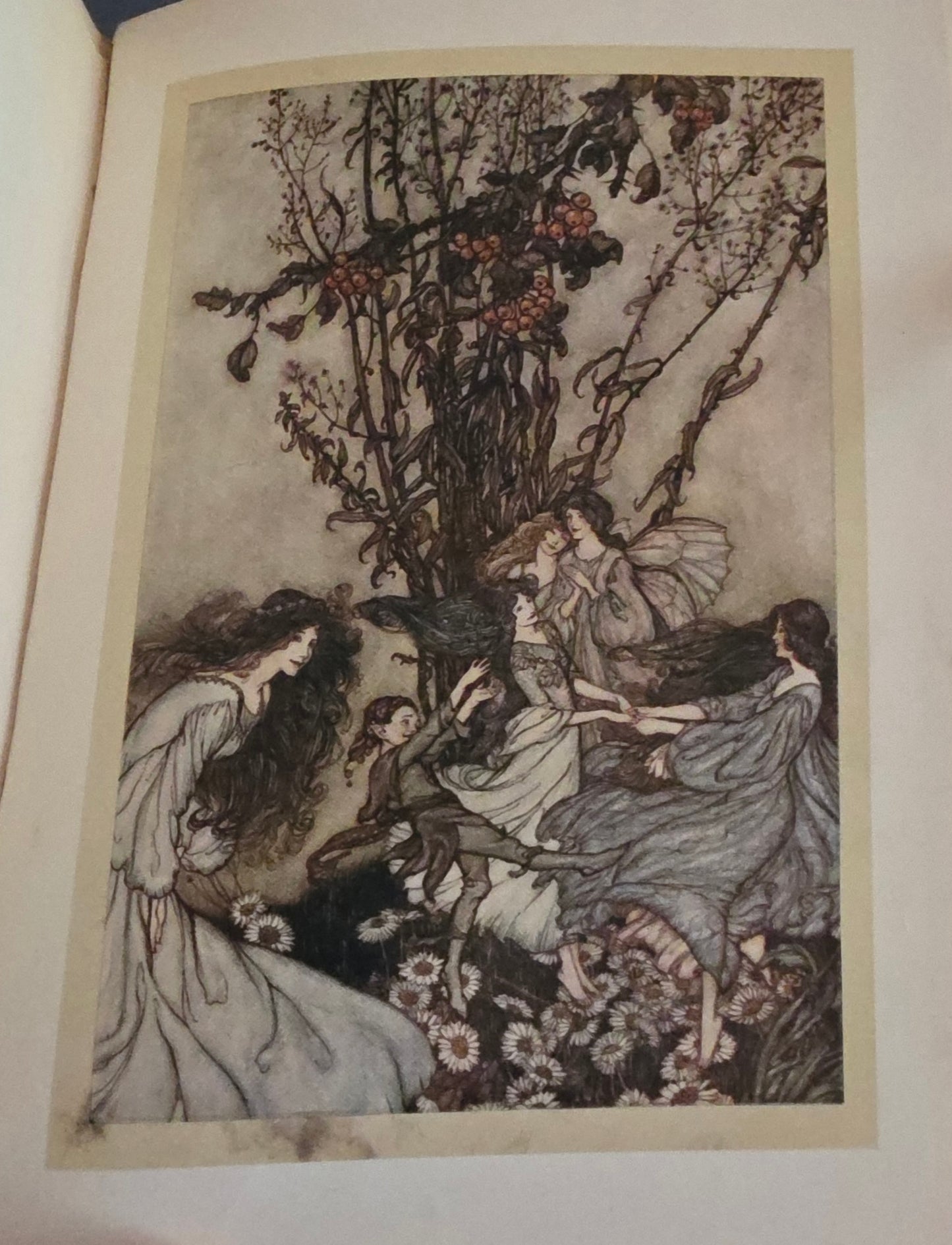 1920s Peter Pan in Kensington Gardens by JM Barrie : 24 Rackham Plates