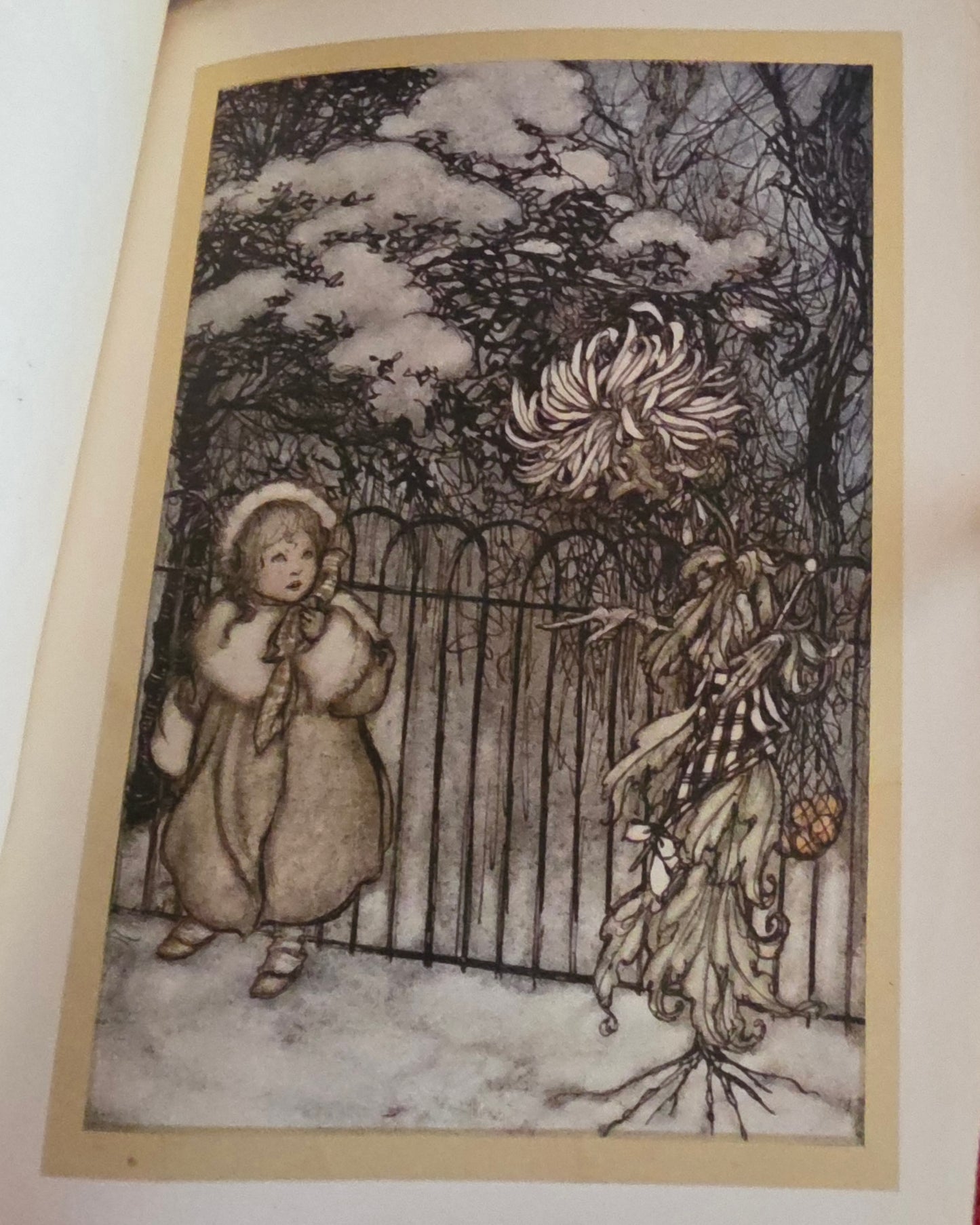 1920s Peter Pan in Kensington Gardens by JM Barrie : 24 Rackham Plates