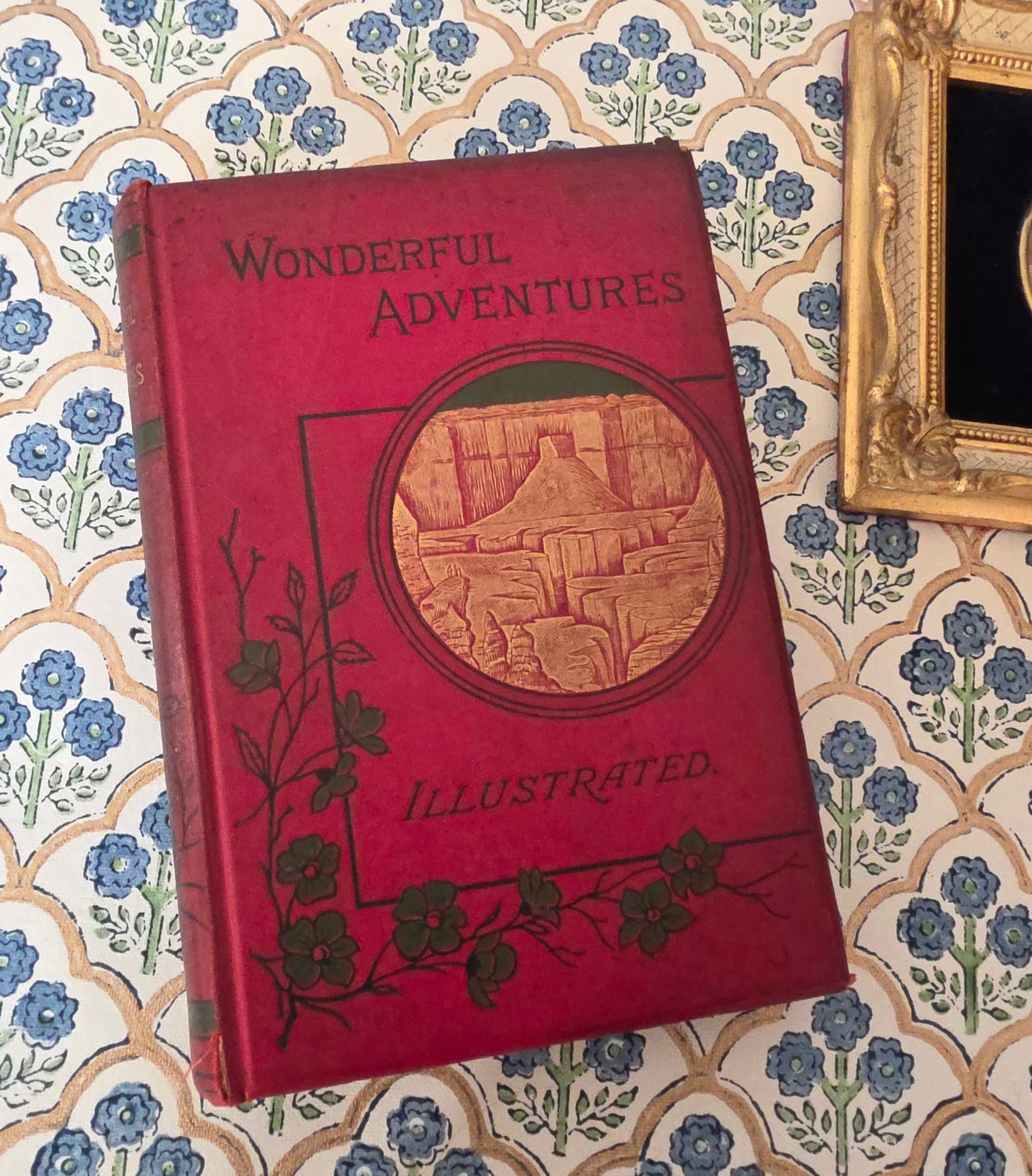 1890s Native Tribes of America - Narratives - Illustrated Antique Book