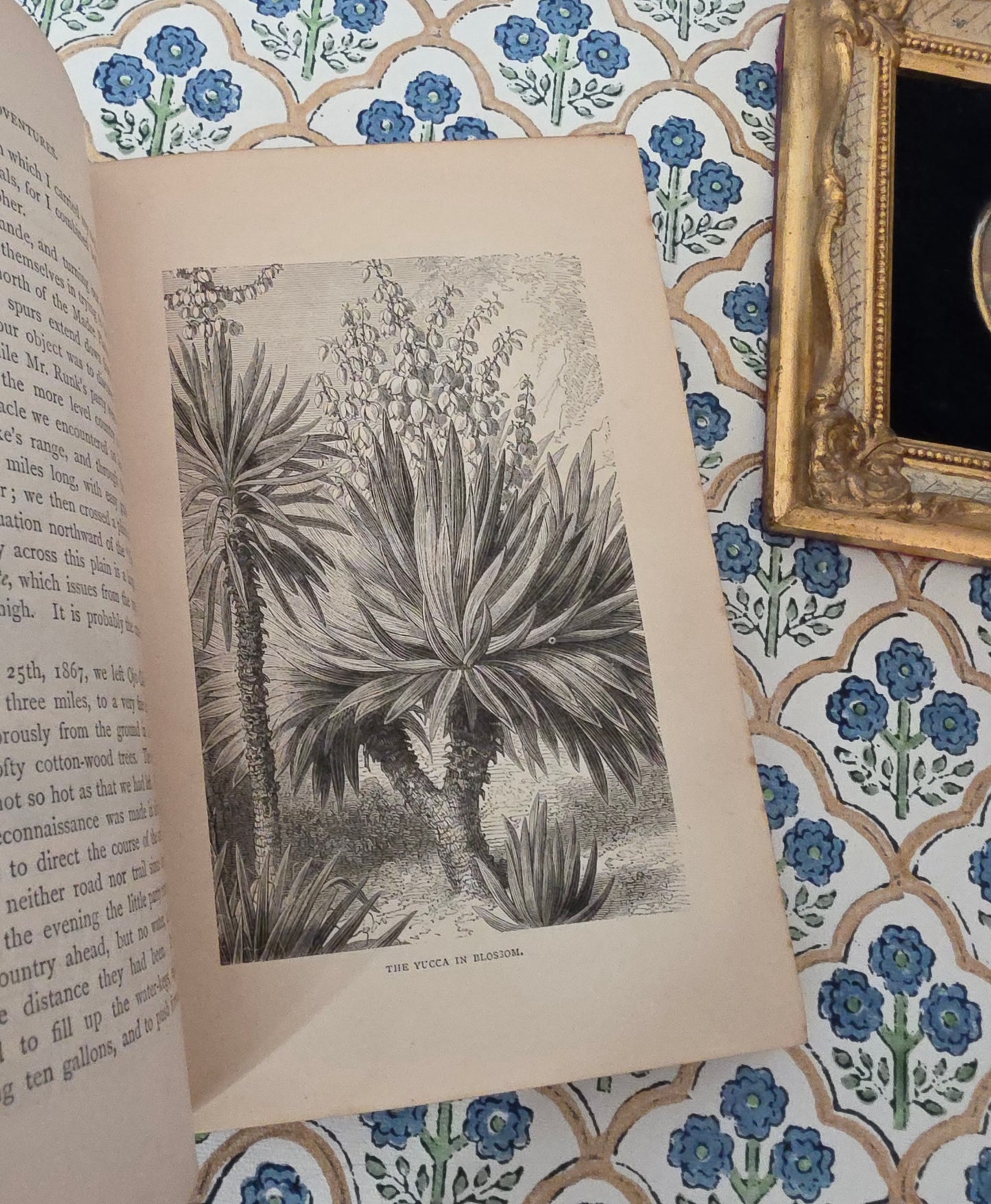 1890s Native Tribes of America - Narratives - Illustrated Antique Book