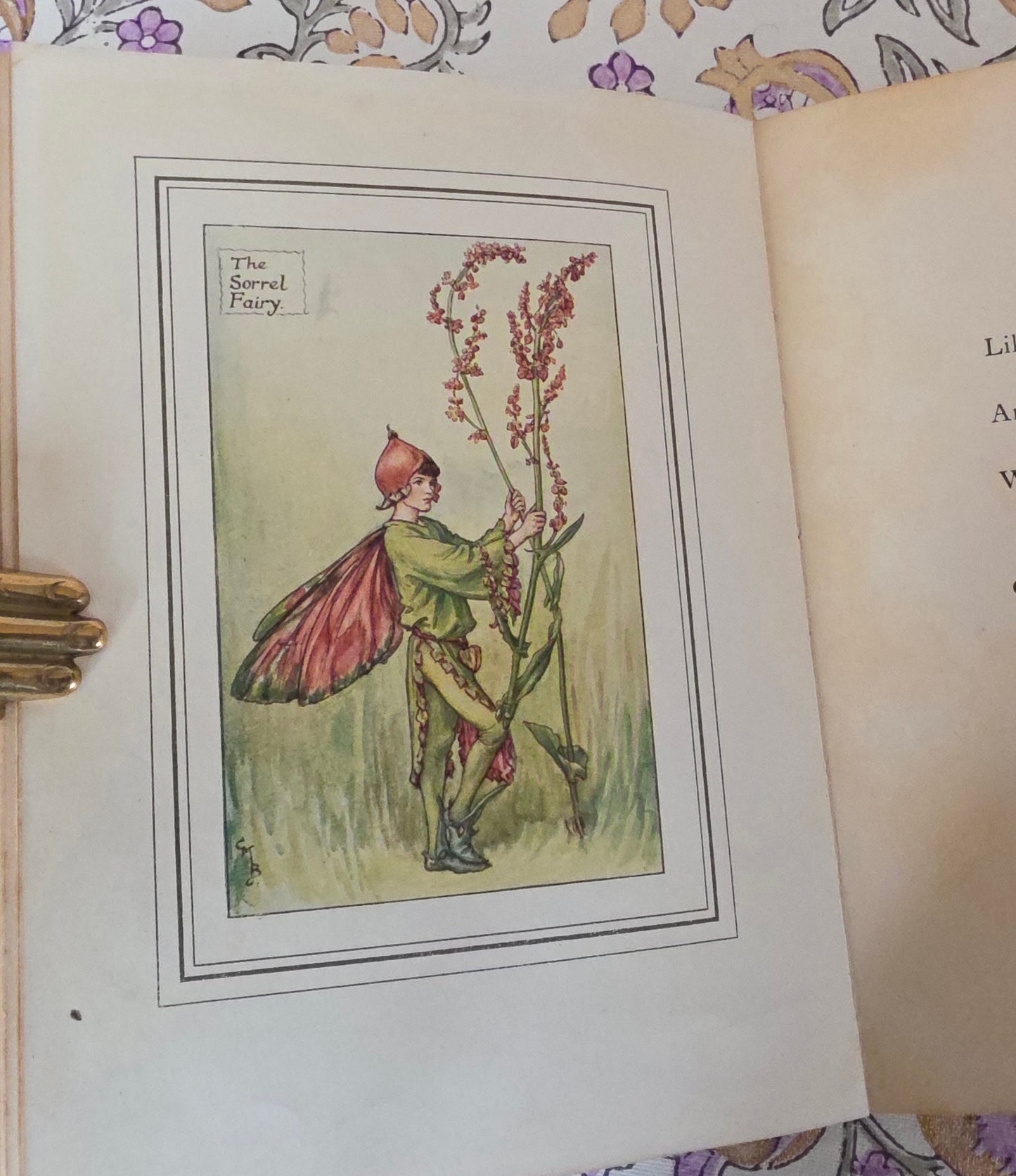 1927 First Edition - The Book of the Flower Fairies by Cicely Mary Barker