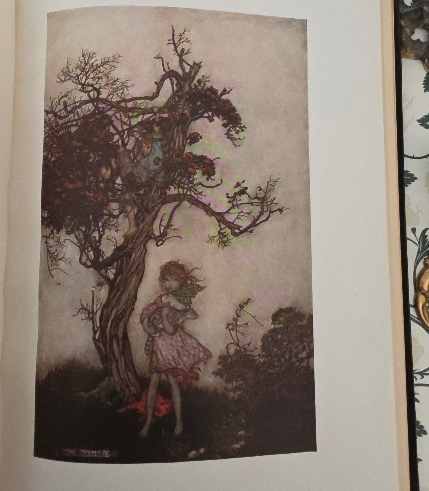 1919 Unique Copy of Rip Van Winkle in a Custom Leather Binding