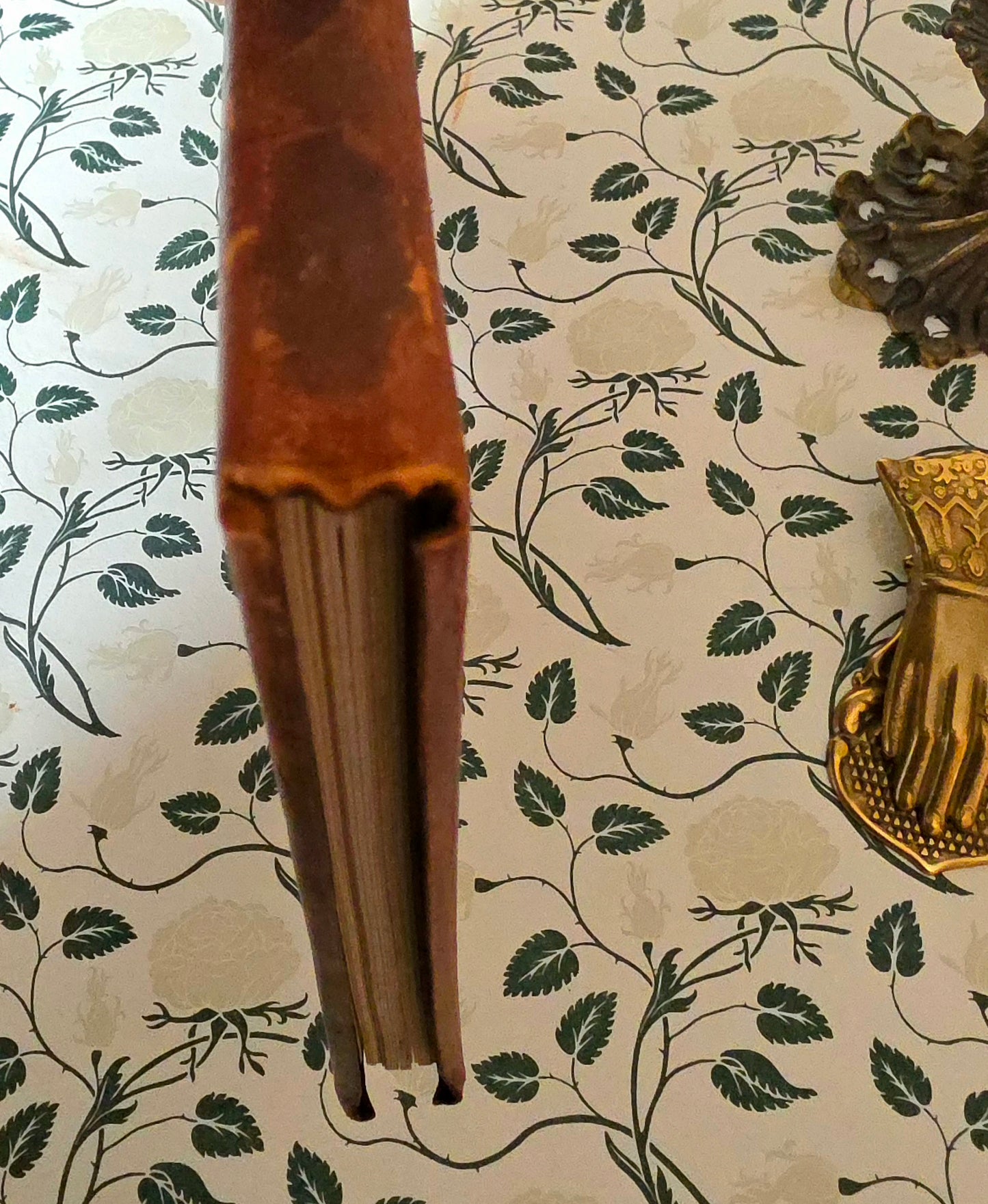 1919 Unique Copy of Rip Van Winkle in a Custom Leather Binding