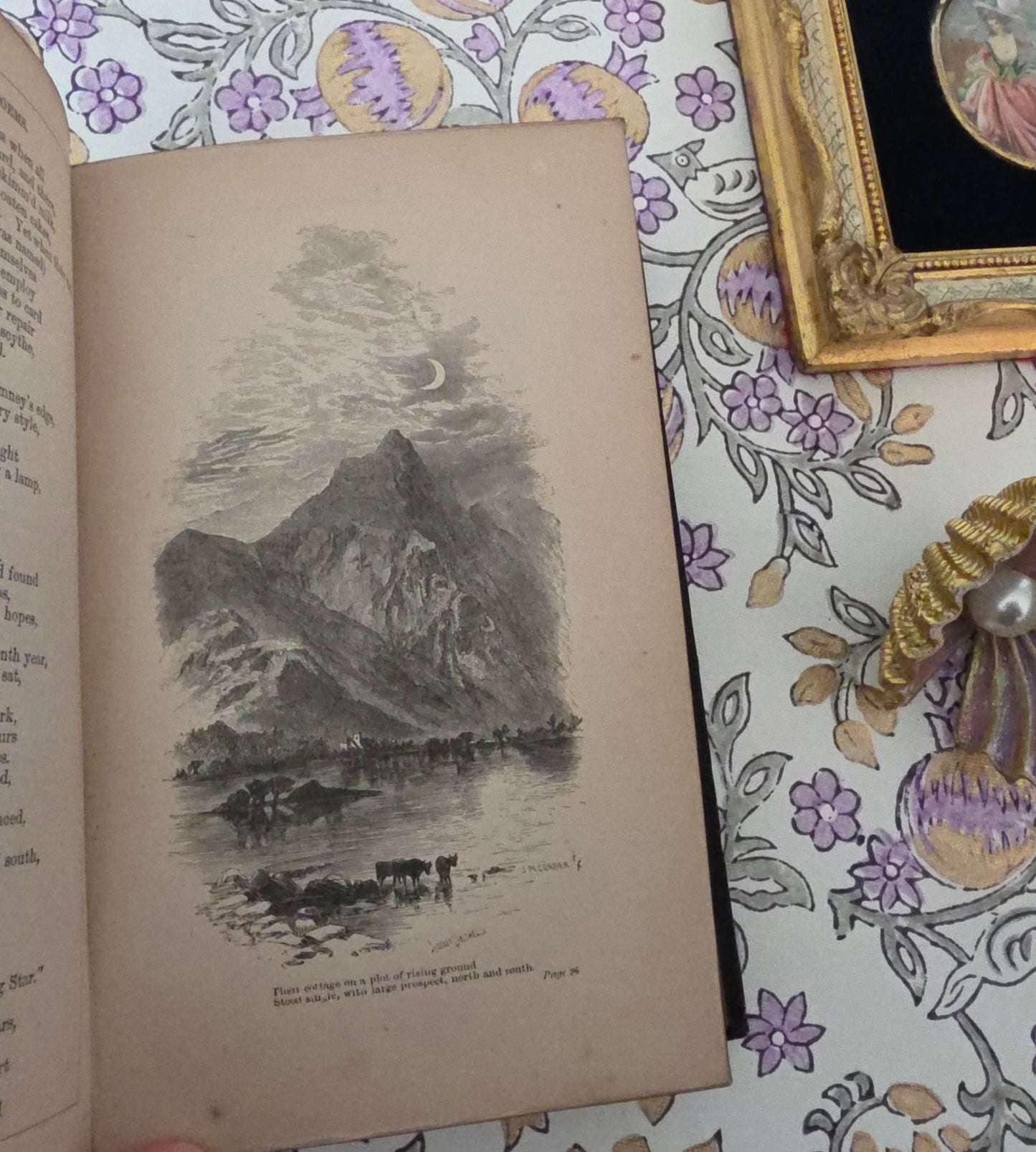 1879 Poems by William Wordsworth : Illustrated Antique Book