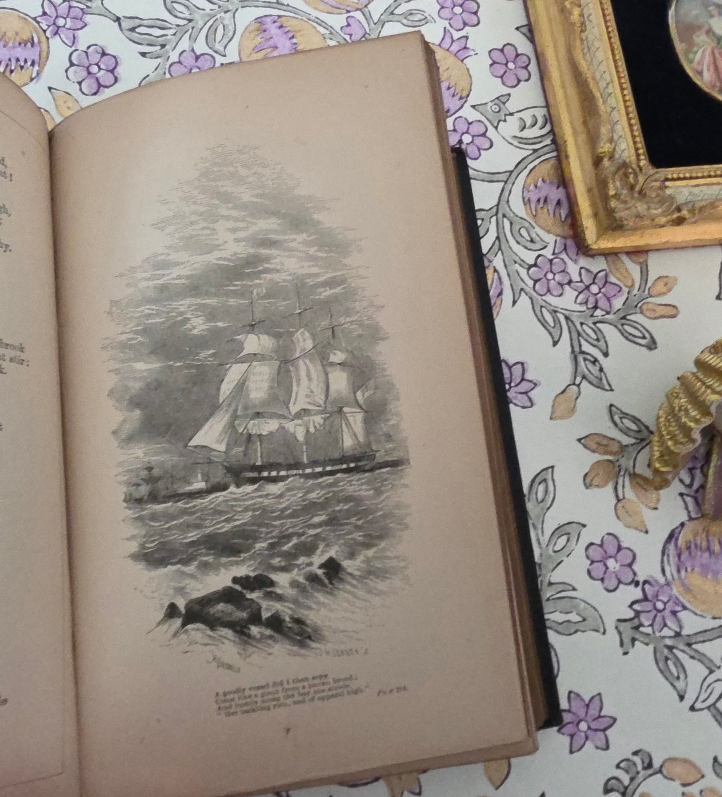 1879 Poems by William Wordsworth : Illustrated Antique Book