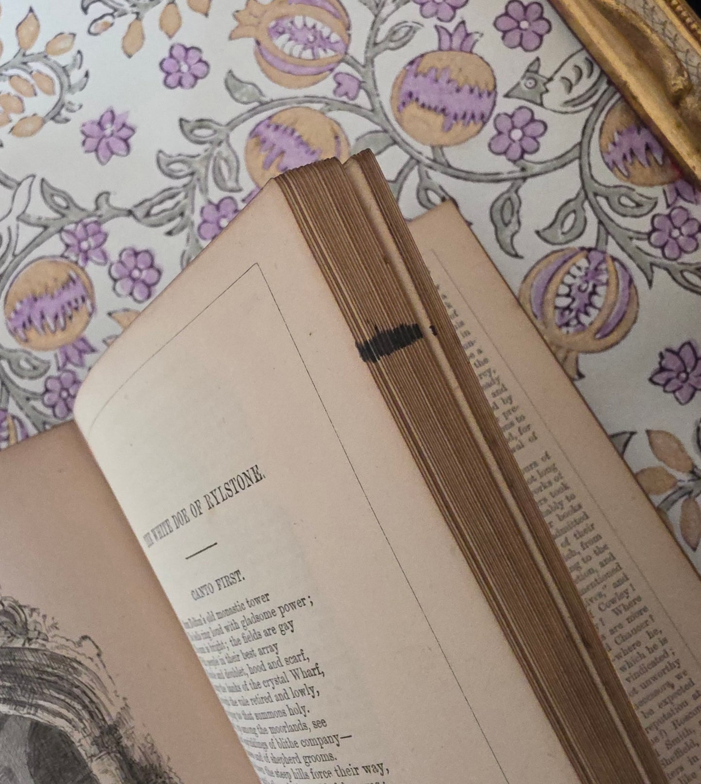 1879 Poems by William Wordsworth : Illustrated Antique Book