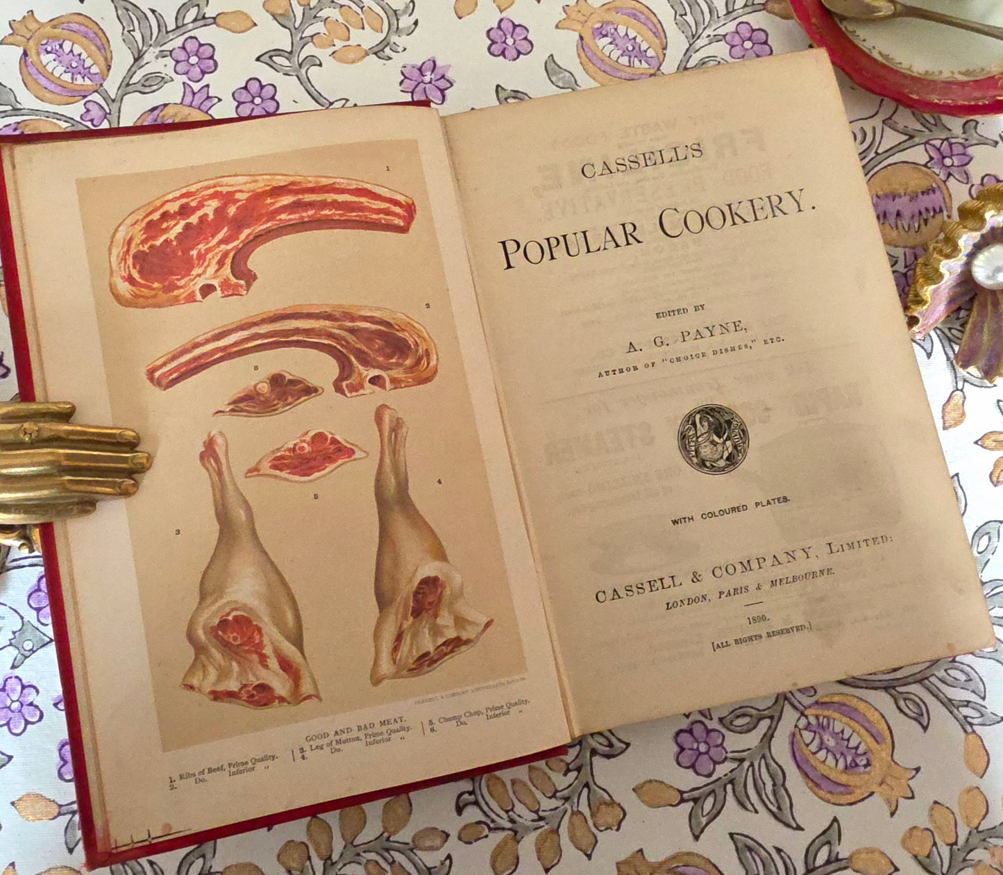 1890 Cassell's Popular Cookery - Colour Plates - Vintage Ads