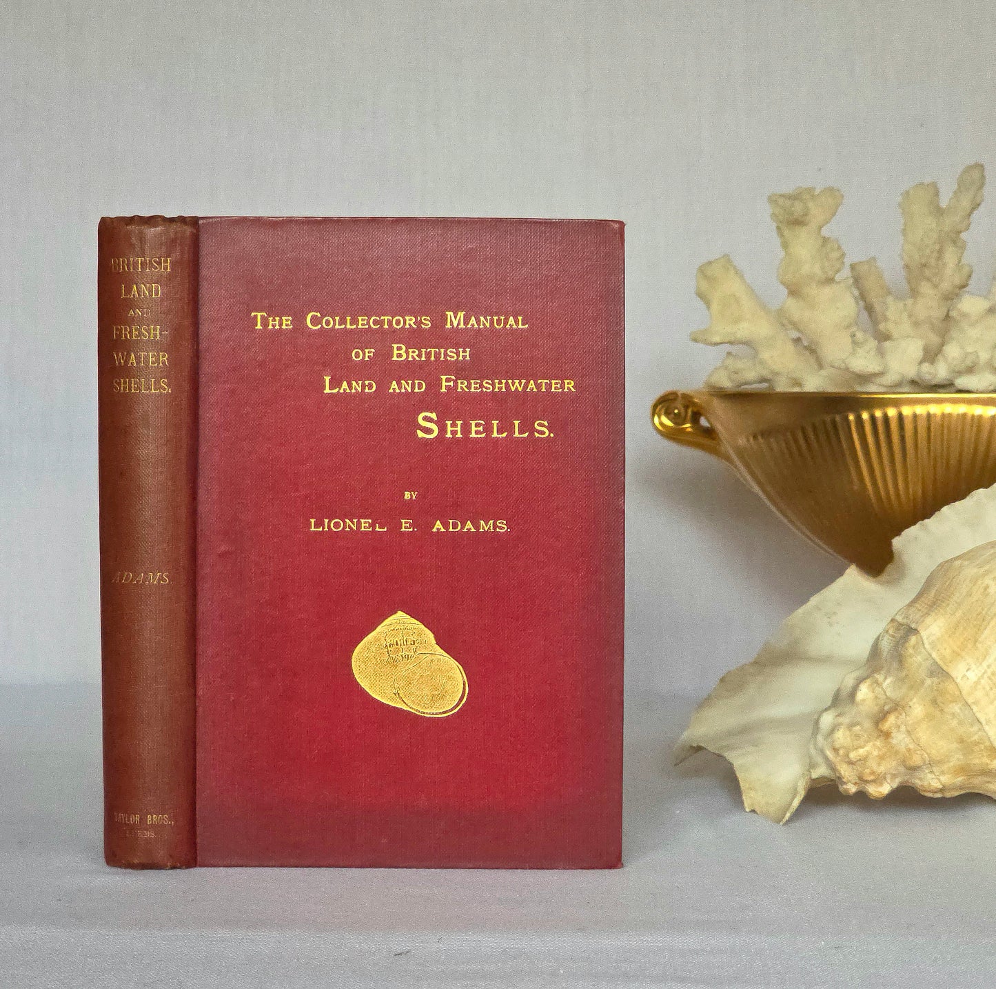 1896 The Collector's Manual of British Land and Freshwater Shells - 9 Colour Plates