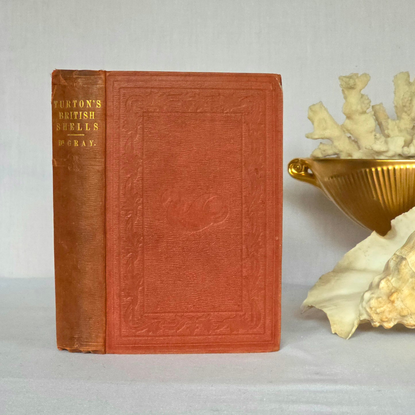 1857 Manual of Land and Freshwater Shells of the British Islands - 12 Hand Coloured Plates