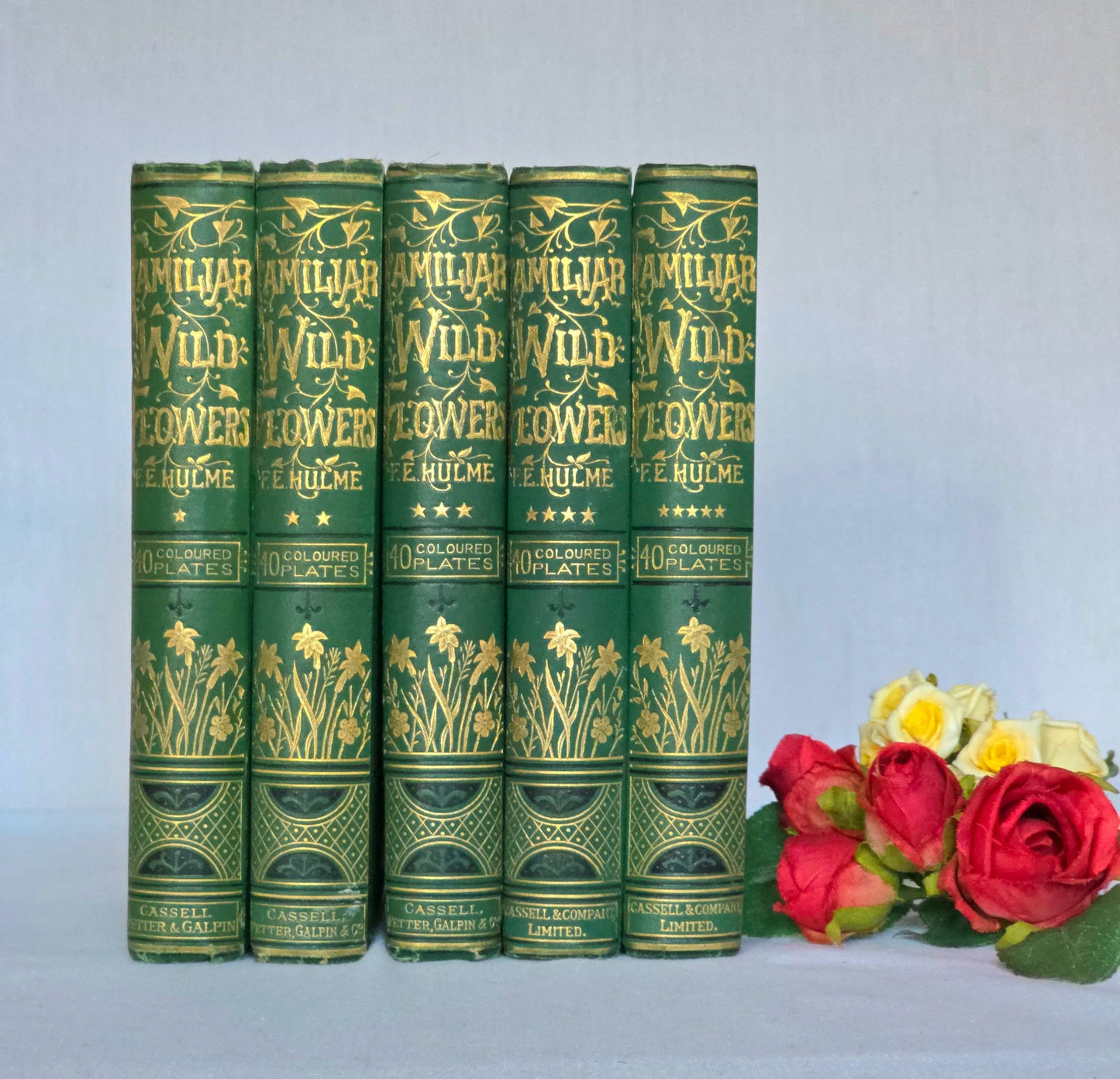 1880s Complete Set in Five Volumes of Familiar Wild Flowers - 200 Colour Illustrations