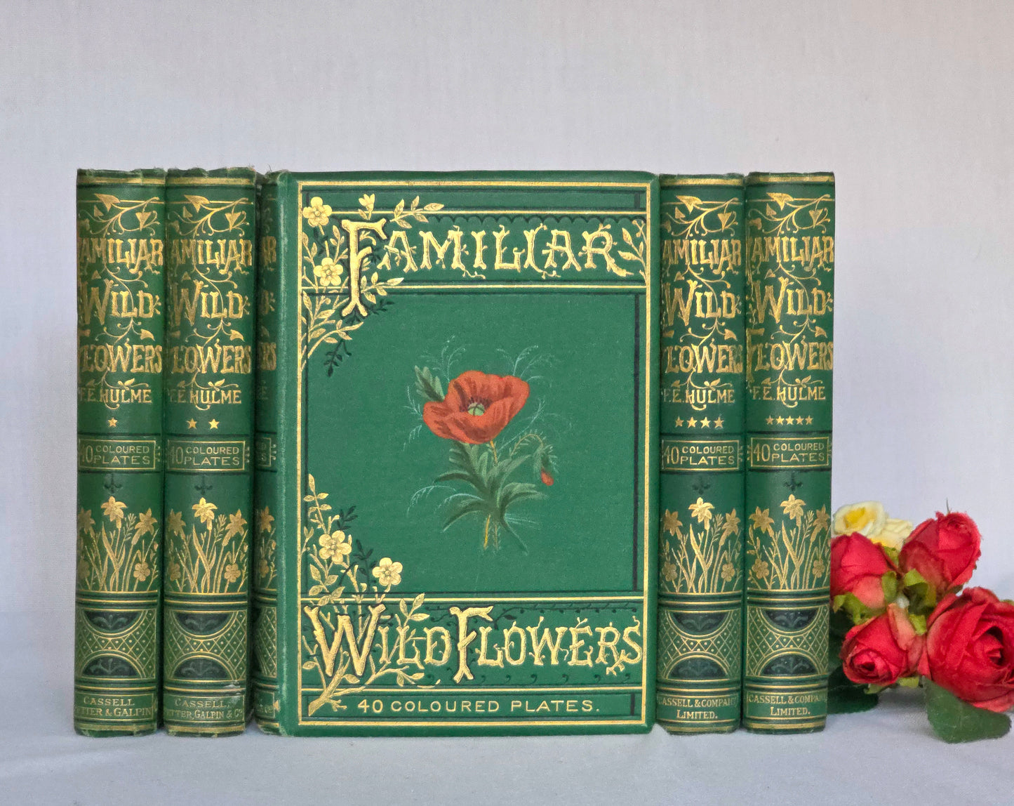 1880s Complete Set in Five Volumes of Familiar Wild Flowers - 200 Colour Illustrations
