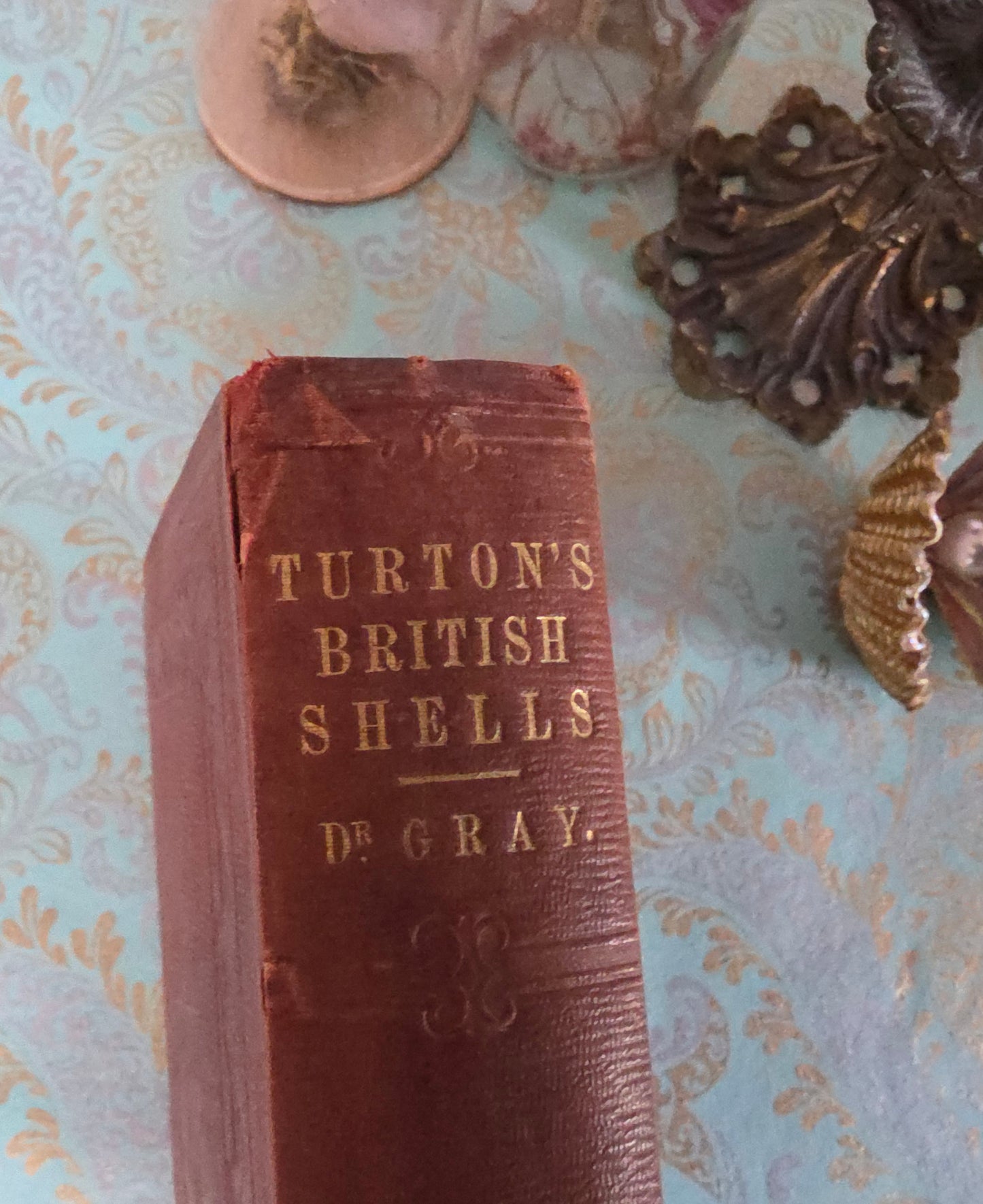 1857 Manual of Land and Freshwater Shells of the British Islands - 12 Hand Coloured Plates