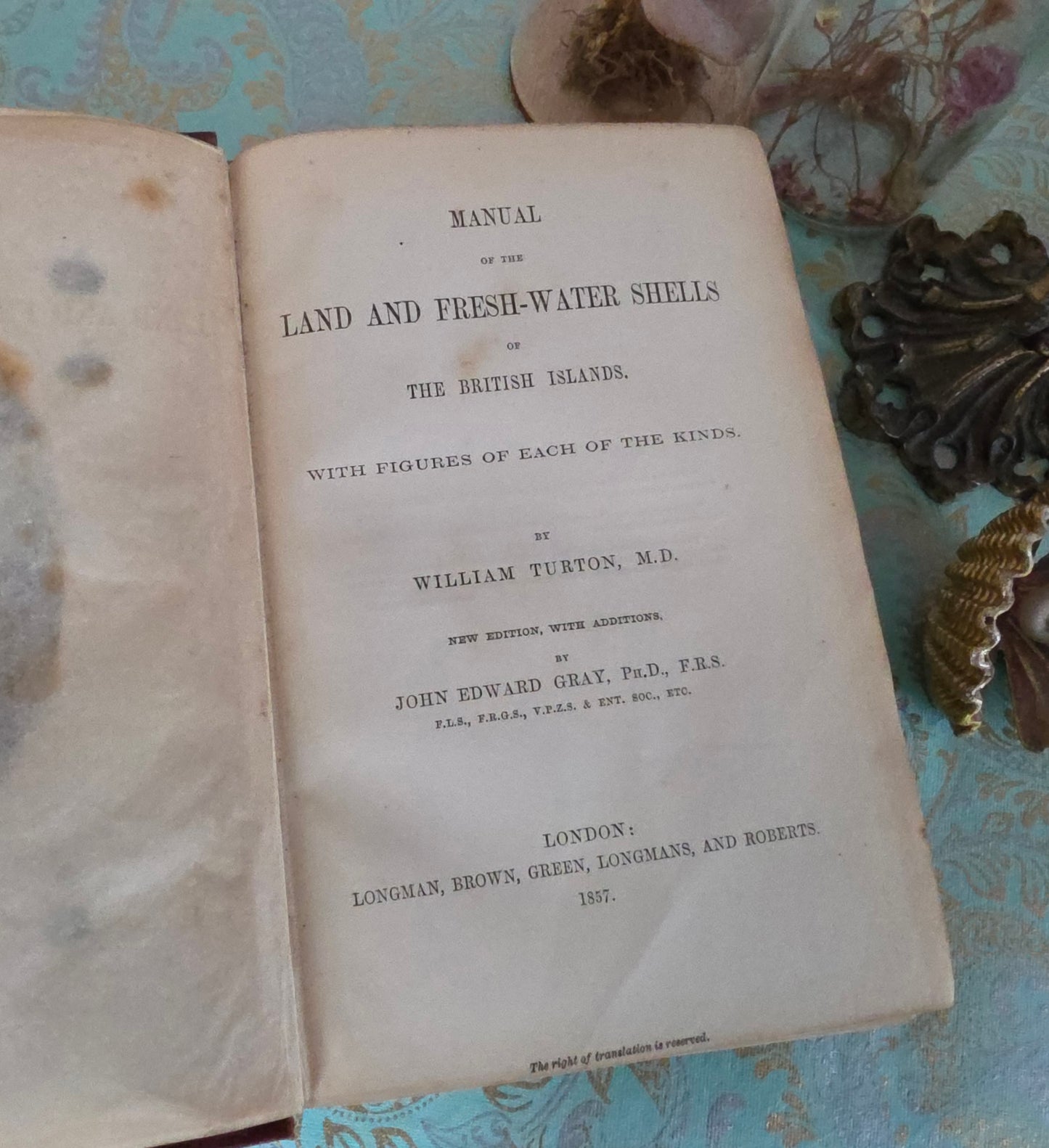 1857 Manual of Land and Freshwater Shells of the British Islands - 12 Hand Coloured Plates