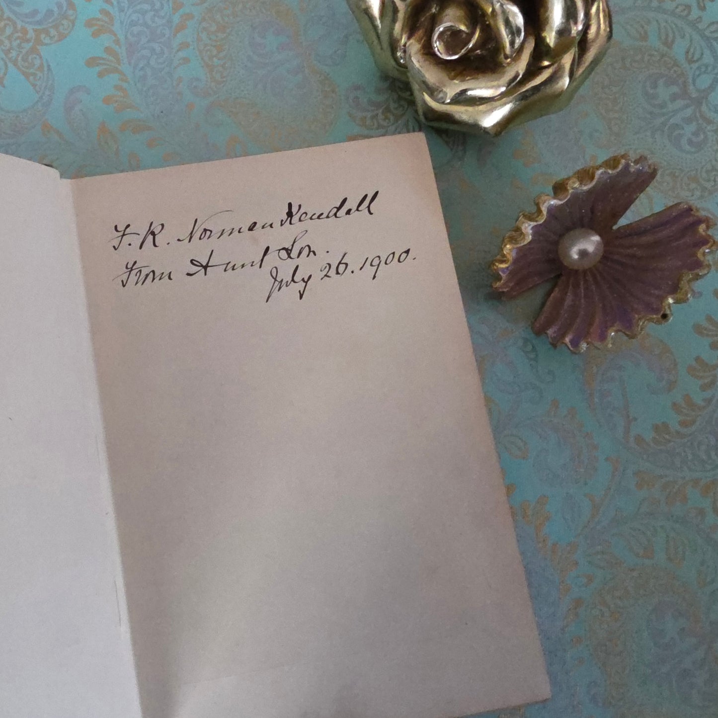 1893 Volcanoes and Earthquakes by Dr Hartwig - Antique Book - 30 Illustrations