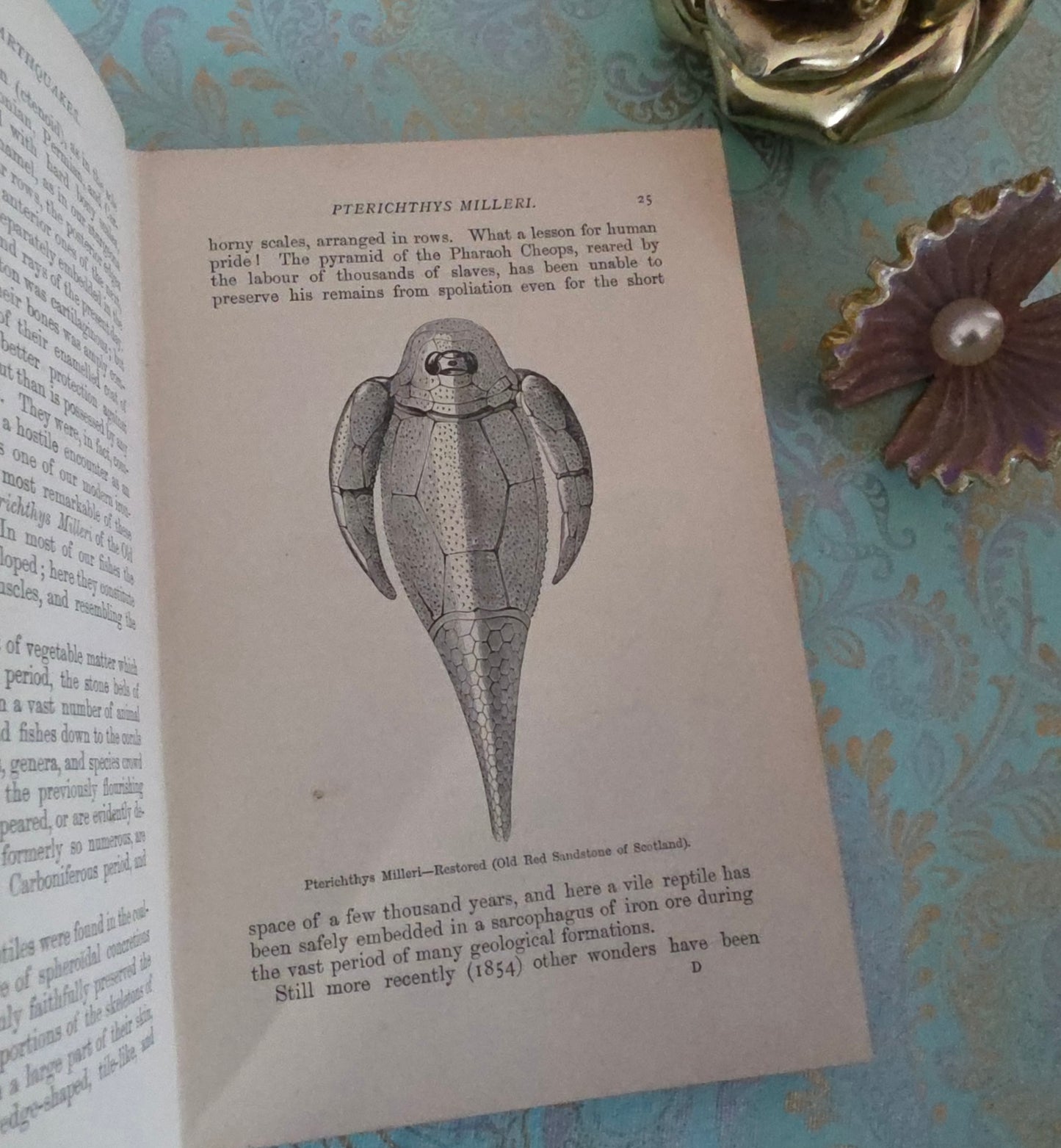 1893 Volcanoes and Earthquakes by Dr Hartwig - Antique Book - 30 Illustrations