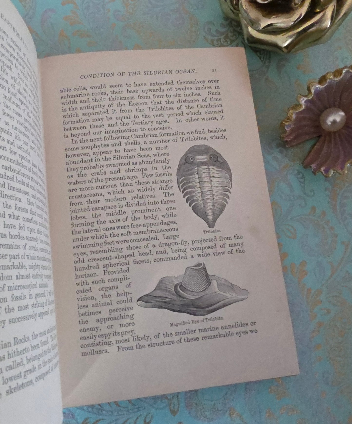 1893 Volcanoes and Earthquakes by Dr Hartwig - Antique Book - 30 Illustrations