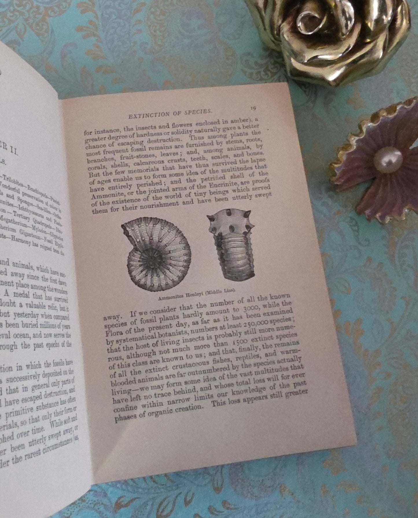 1893 Volcanoes and Earthquakes by Dr Hartwig - Antique Book - 30 Illustrations