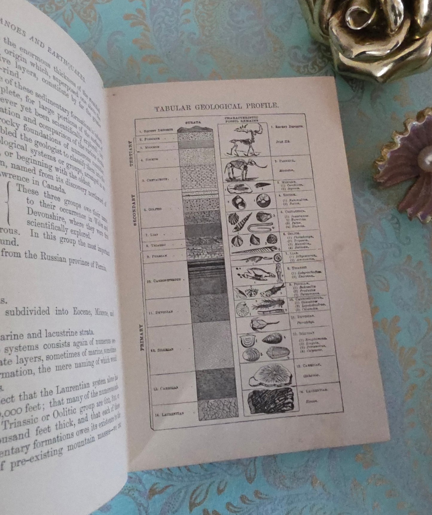 1893 Volcanoes and Earthquakes by Dr Hartwig - Antique Book - 30 Illustrations