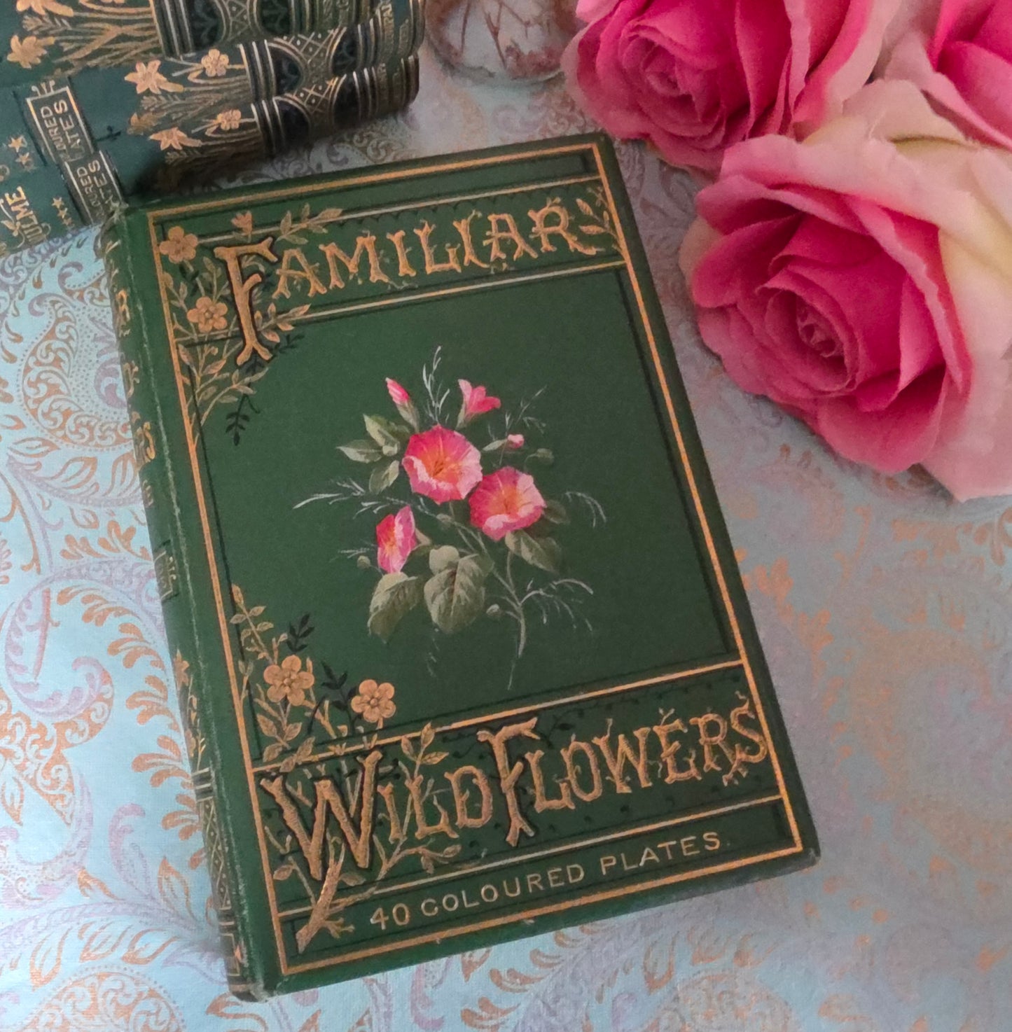 1880s Complete Set in Five Volumes of Familiar Wild Flowers - 200 Colour Illustrations