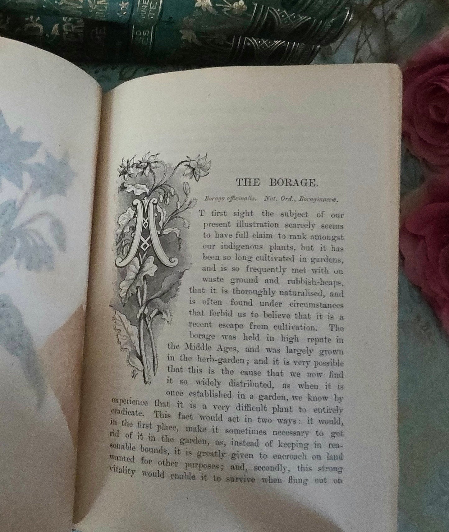 1880s Complete Set in Five Volumes of Familiar Wild Flowers - 200 Colour Illustrations