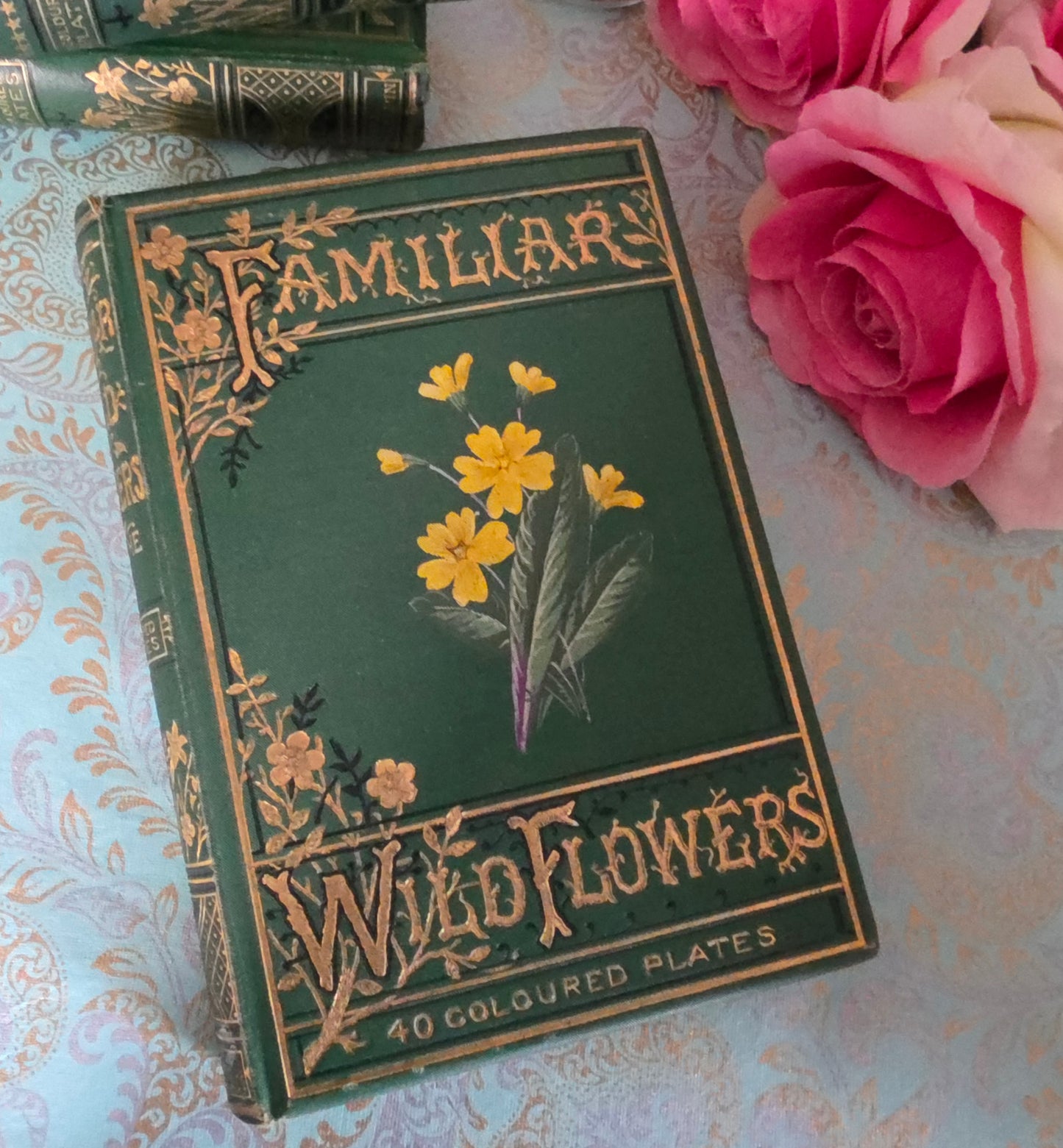 1880s Complete Set in Five Volumes of Familiar Wild Flowers - 200 Colour Illustrations